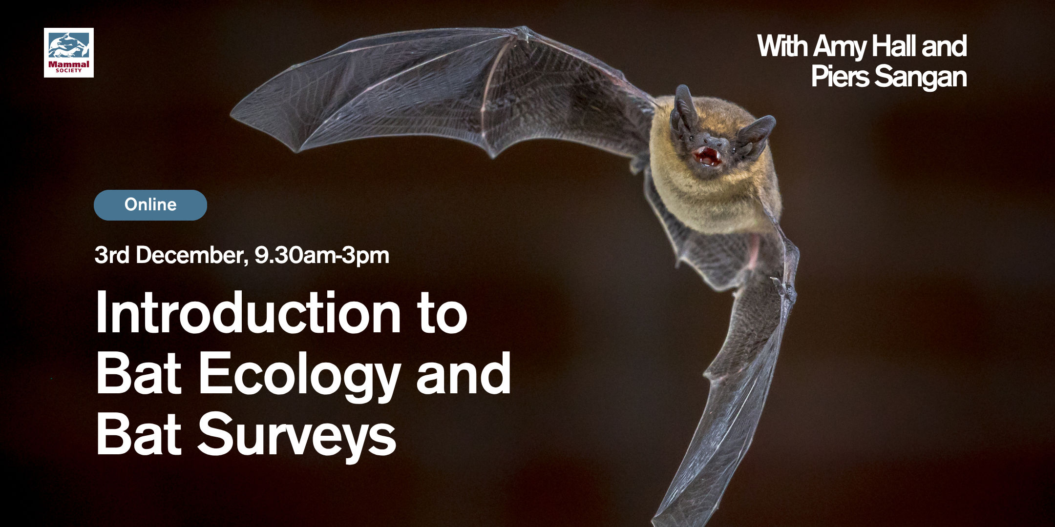 Introduction to bat ecology and bat surveys (online)