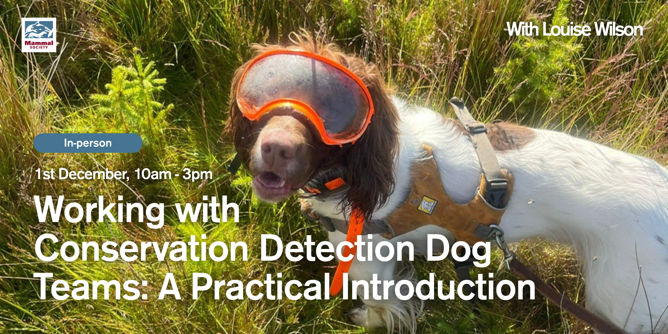 Working with Conservation Detection Dog Teams: A Practical Introduction (in-person) 