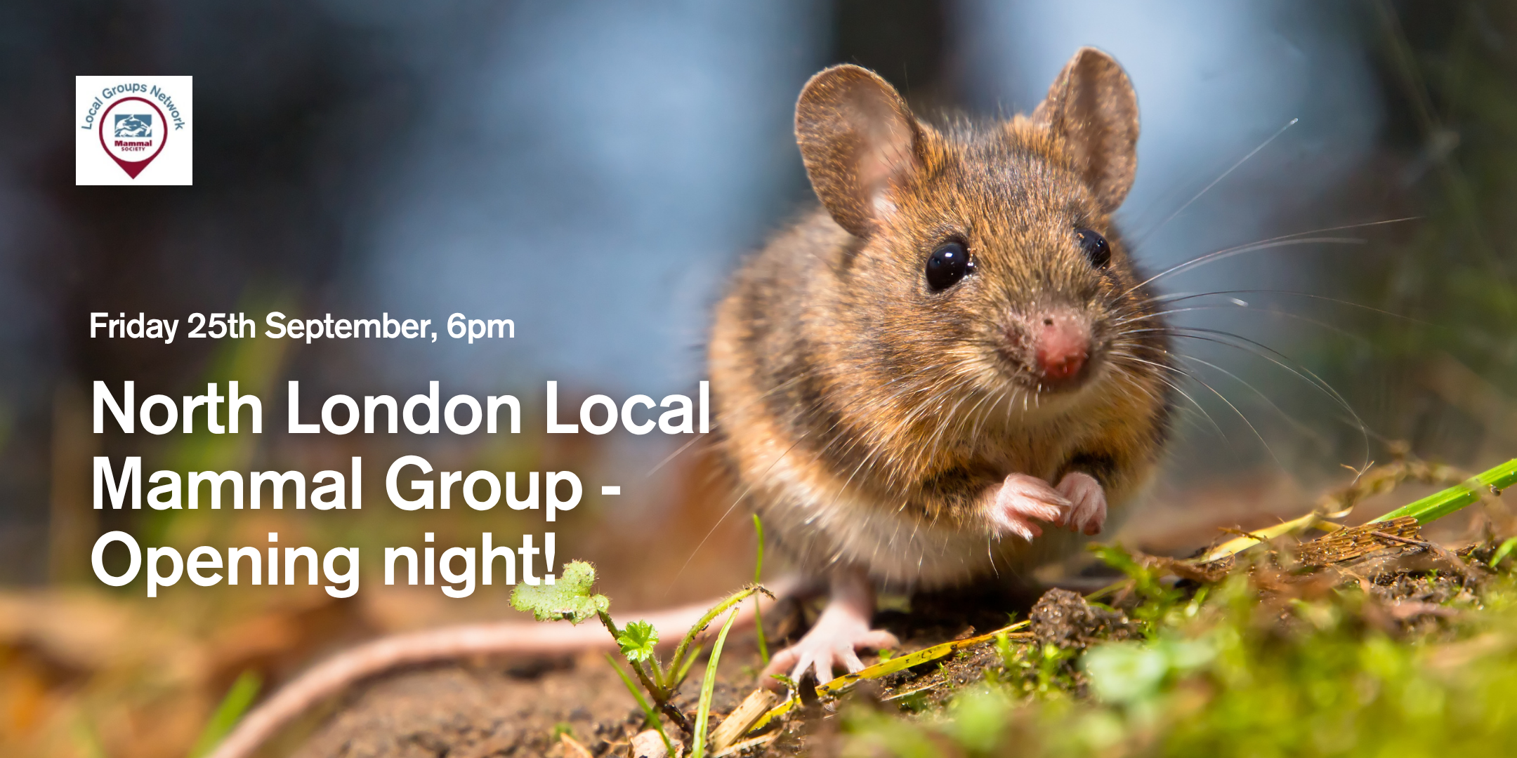 North London Mammal Group - opening night (in-person)