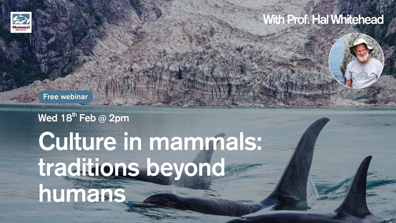 Culture in mammals: traditions beyond humans with Prof. Hal Whitehead ...