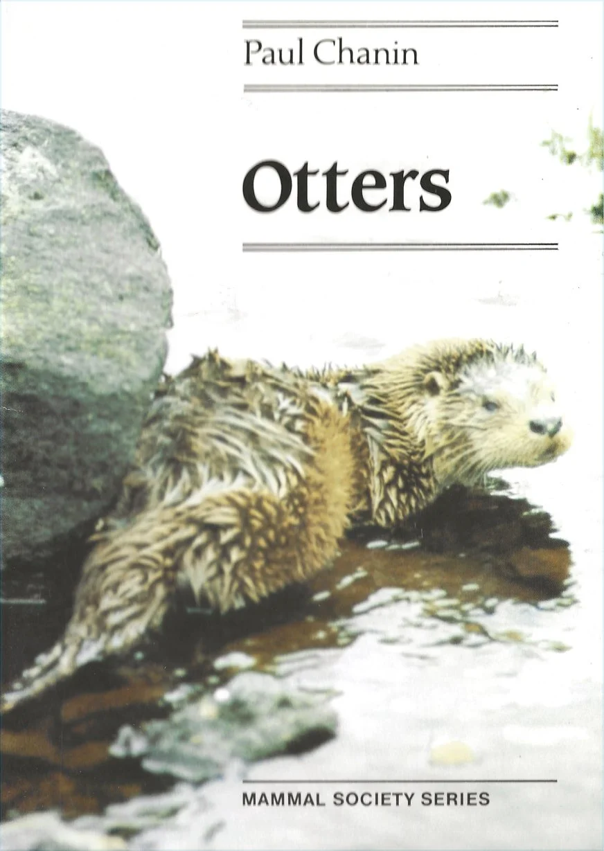 Otter (e-book)