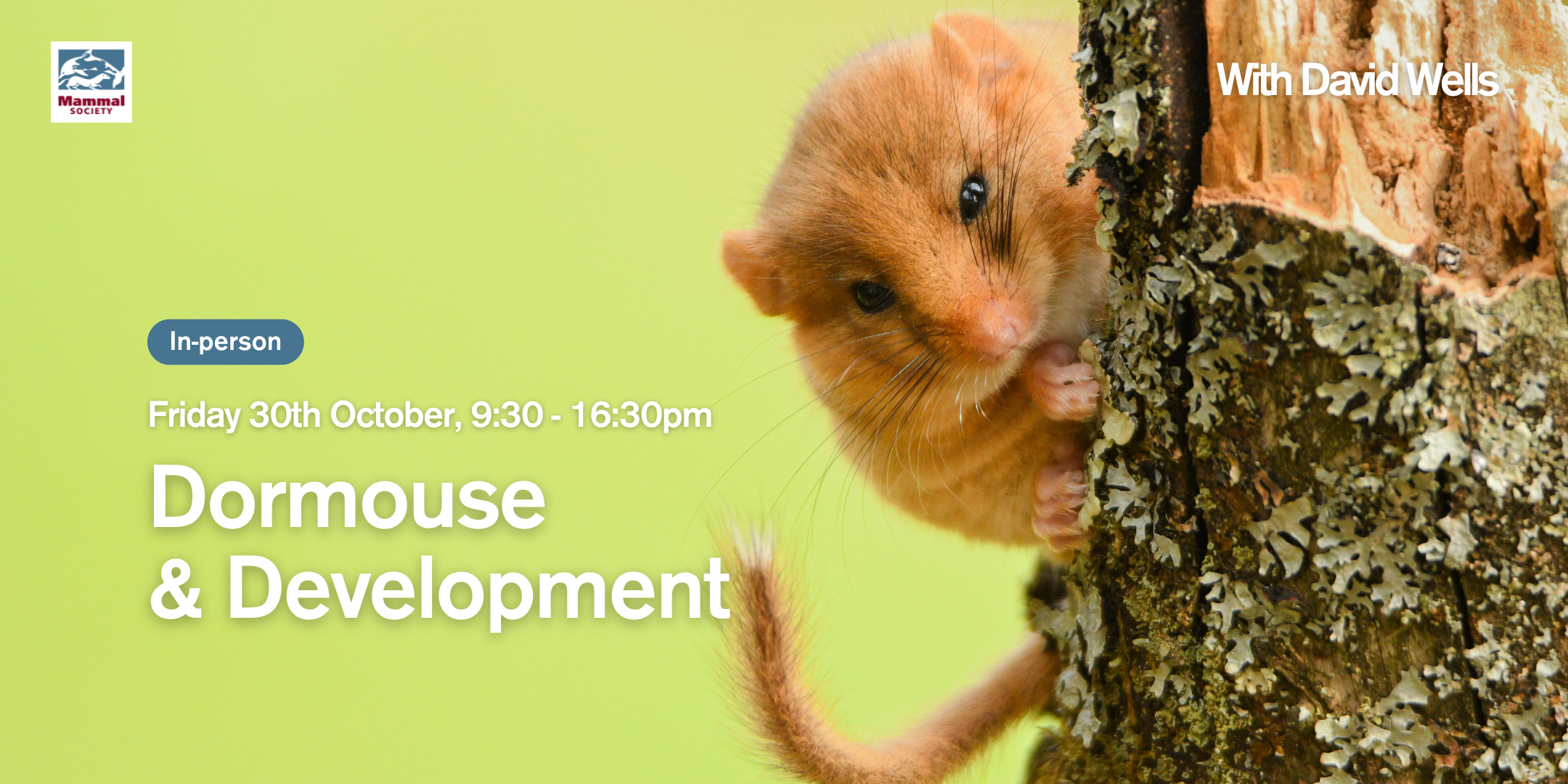 Dormouse and Development (in-person) — Mammal Society