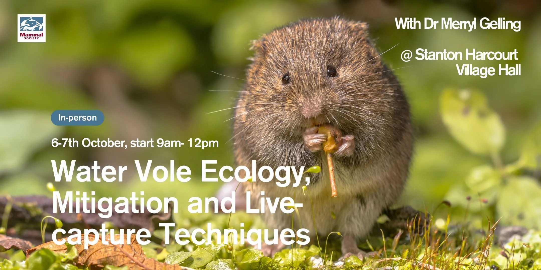 Water Vole Ecology Mitigation And Live Capture Techniques Mammal Society water-vole-ecology-mitigation-and-live-capture-techniques-mammal-society