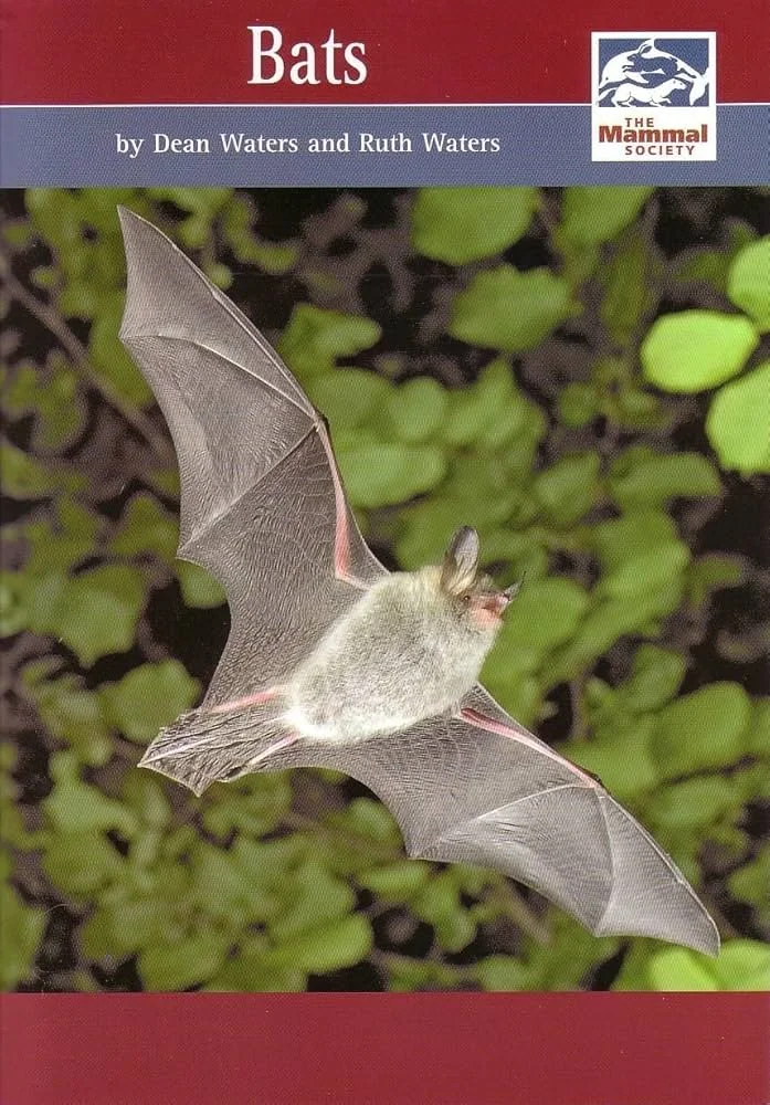 Bats (e-book)