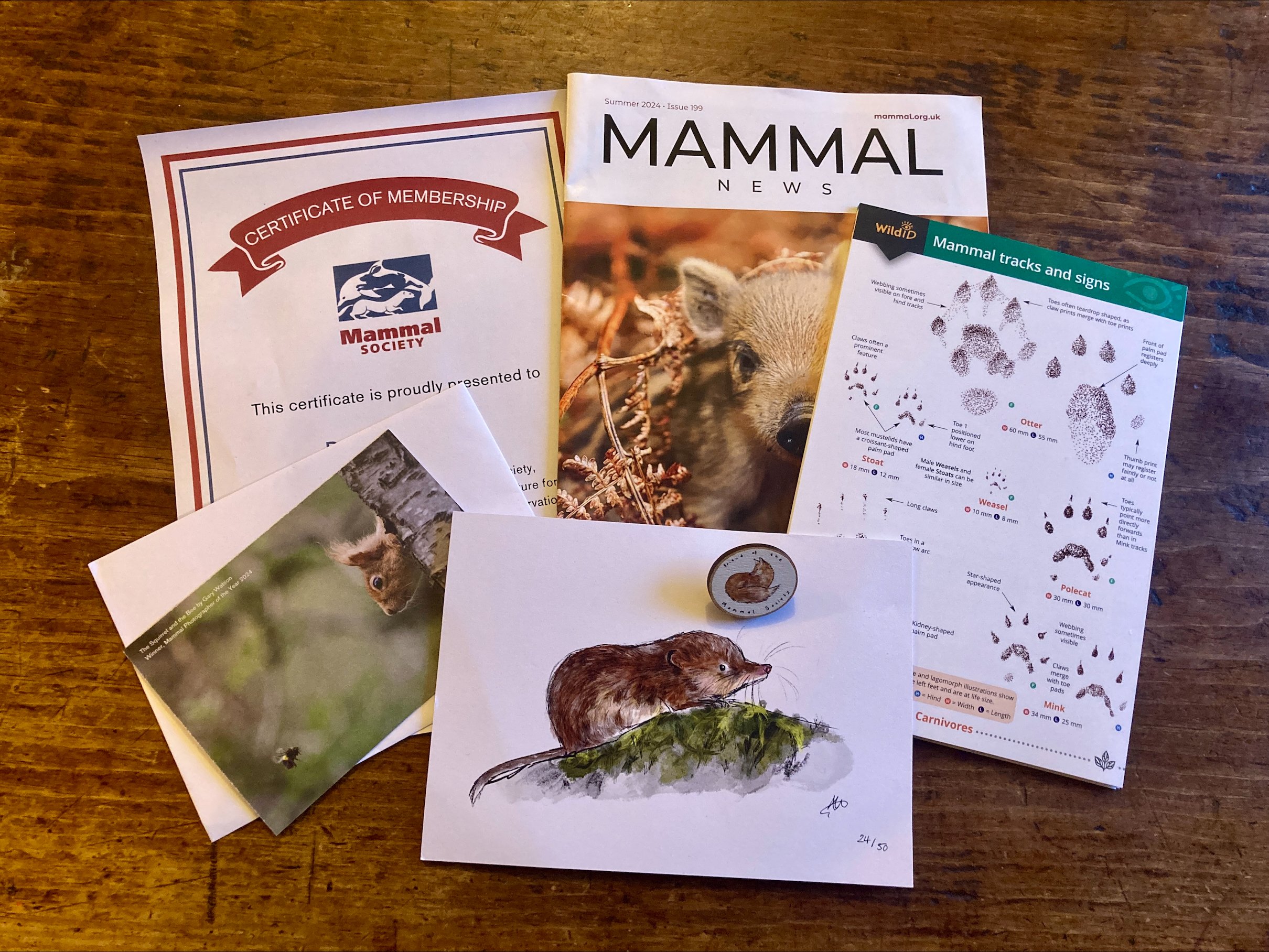 Adult gift memberhsip pack.jpeg
