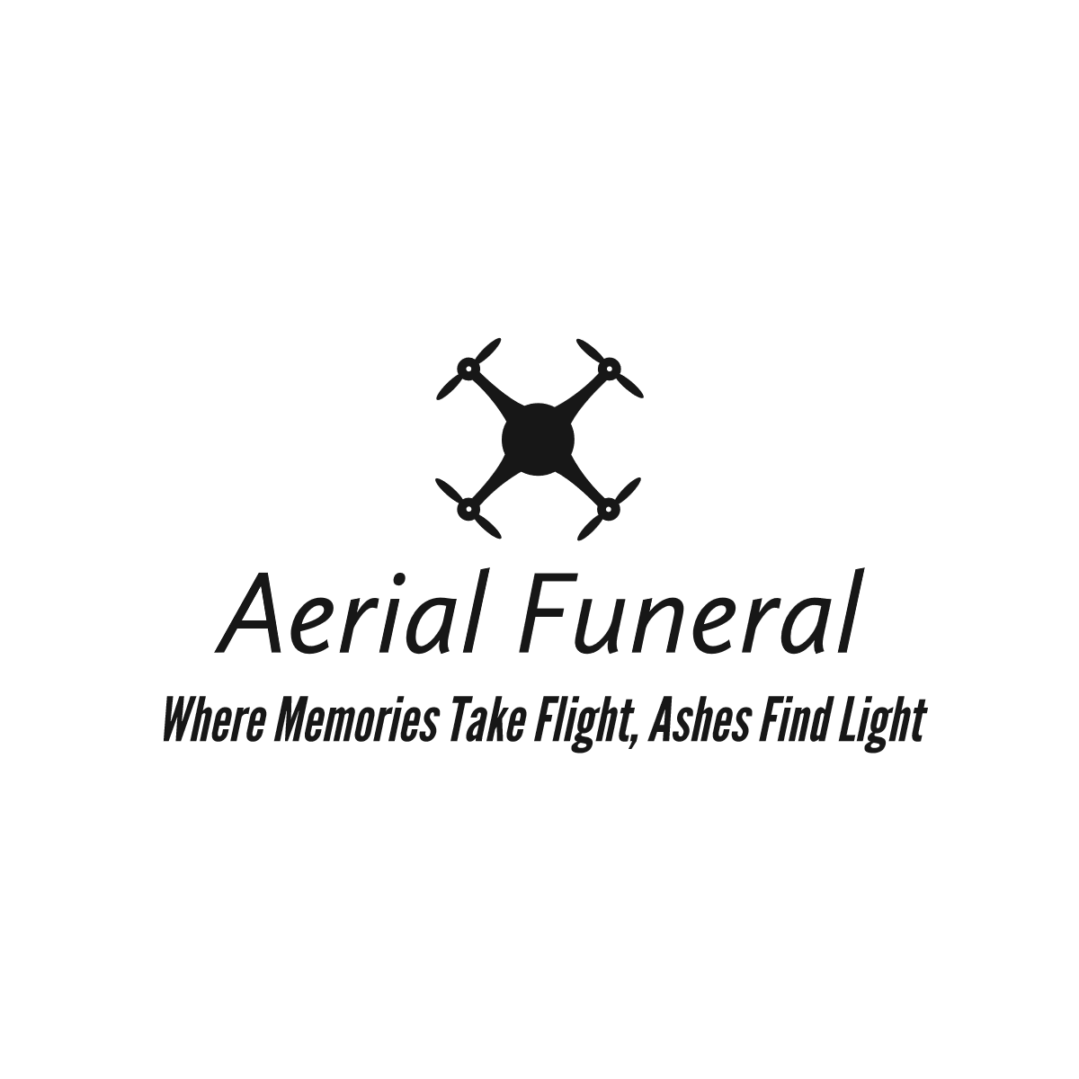 Aerial Funeral