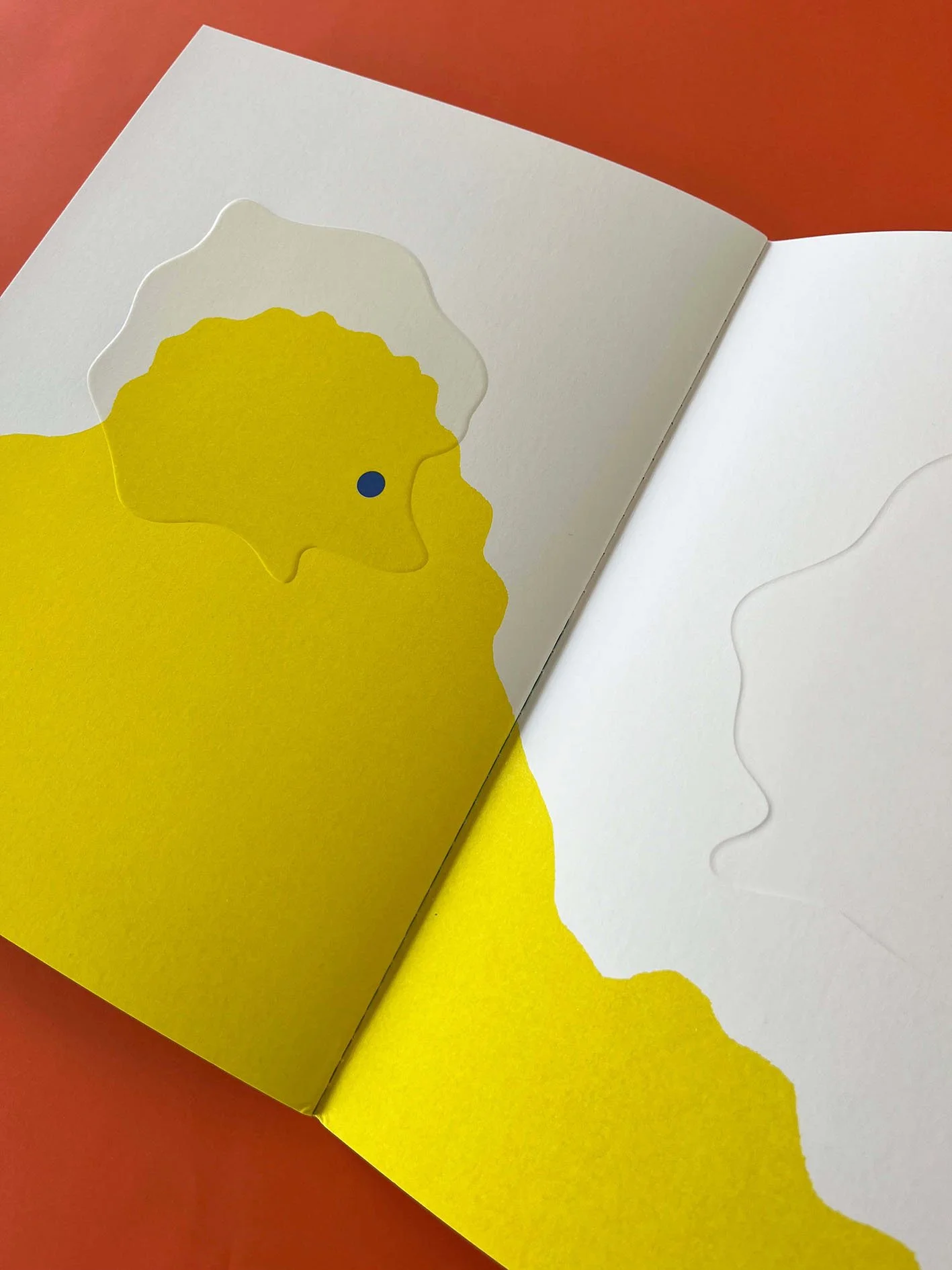 pareidolie, julie safirstein, editions les grandes personnes, livre jeunesse, book for kid, children book, embossed paper, papier embossé, papier gaufré, livre d artiste, animaux