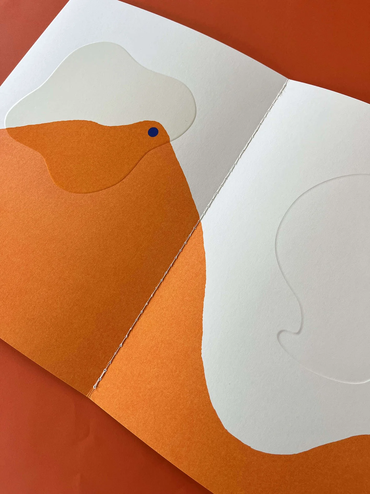 pareidolie, julie safirstein, editions les grandes personnes, livre jeunesse, book for kid, children book, embossed paper, papier embossé, papier gaufré, livre d artiste, animaux