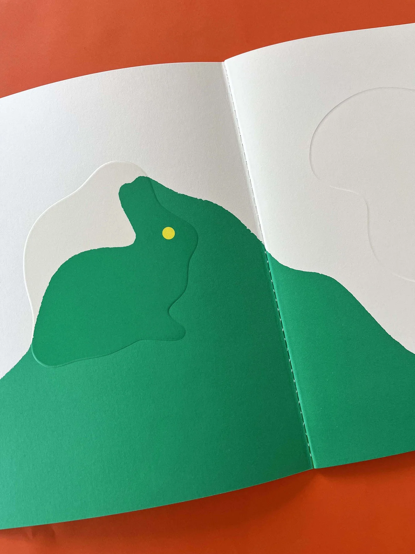 pareidolie, julie safirstein, editions les grandes personnes, livre jeunesse, book for kid, children book, embossed paper, papier embossé, papier gaufré, livre d artiste, animaux