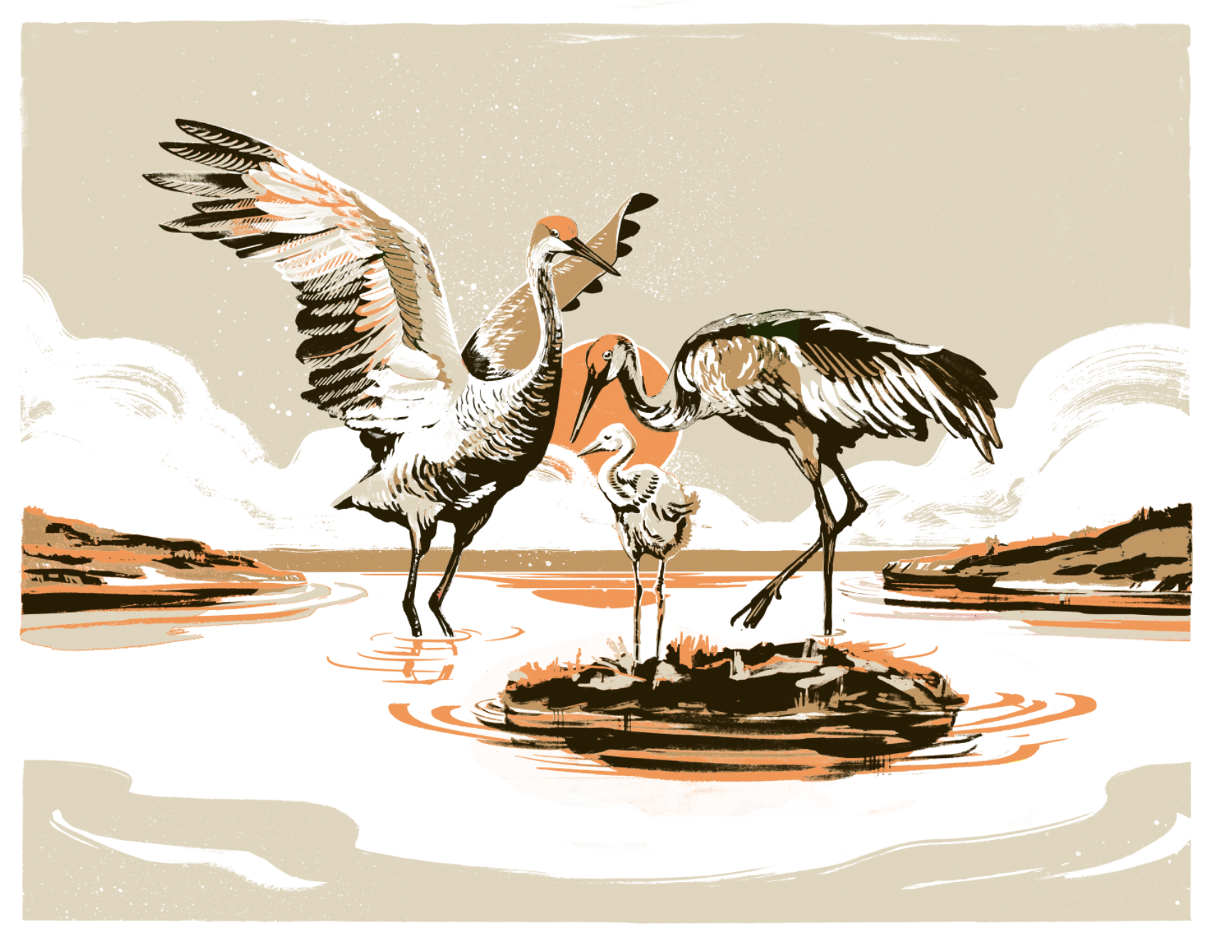 Illustration of three herons standing on rocks in water with a sunset background.