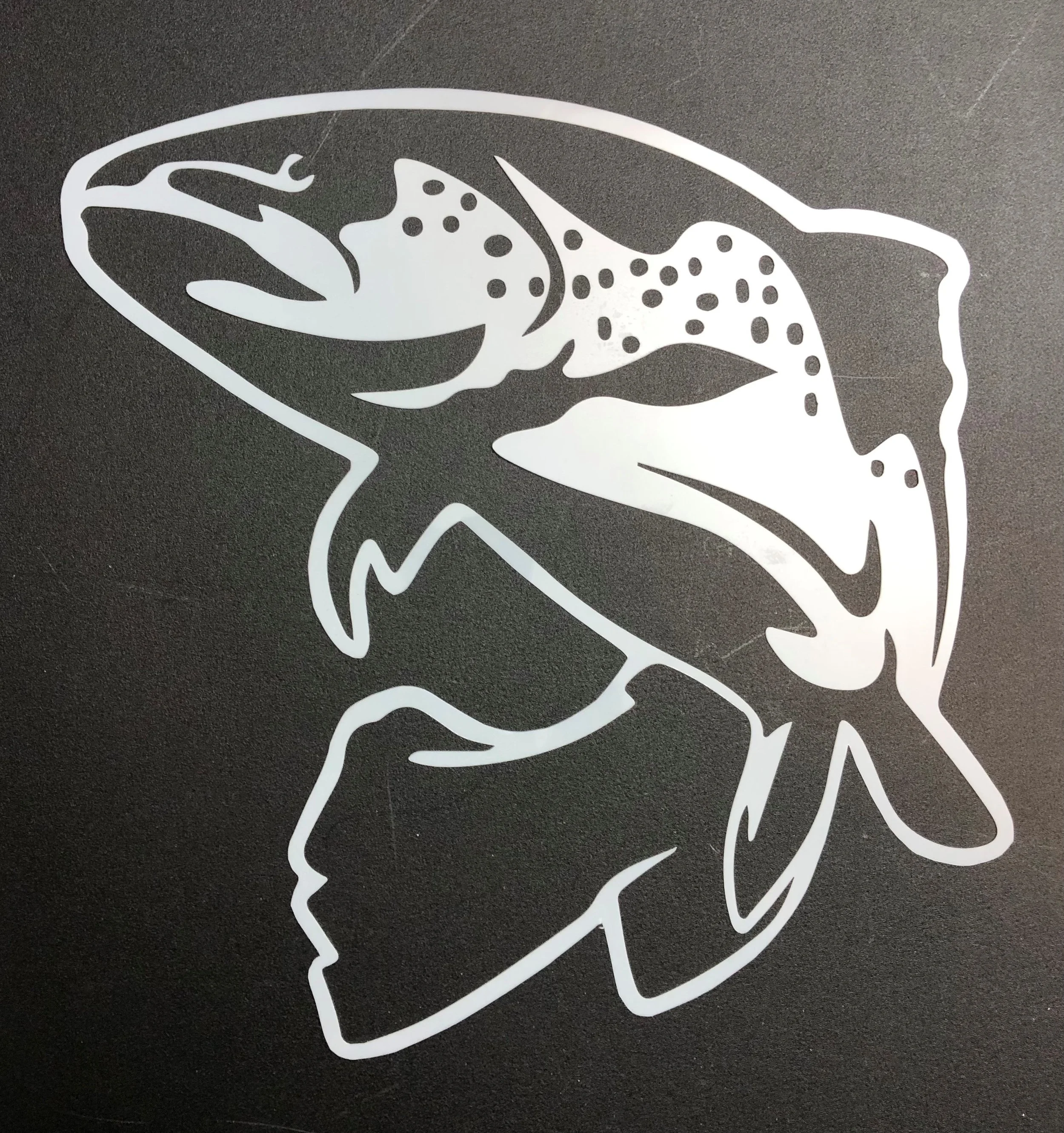 A white outline of a fish, likely a trout, on a black background.