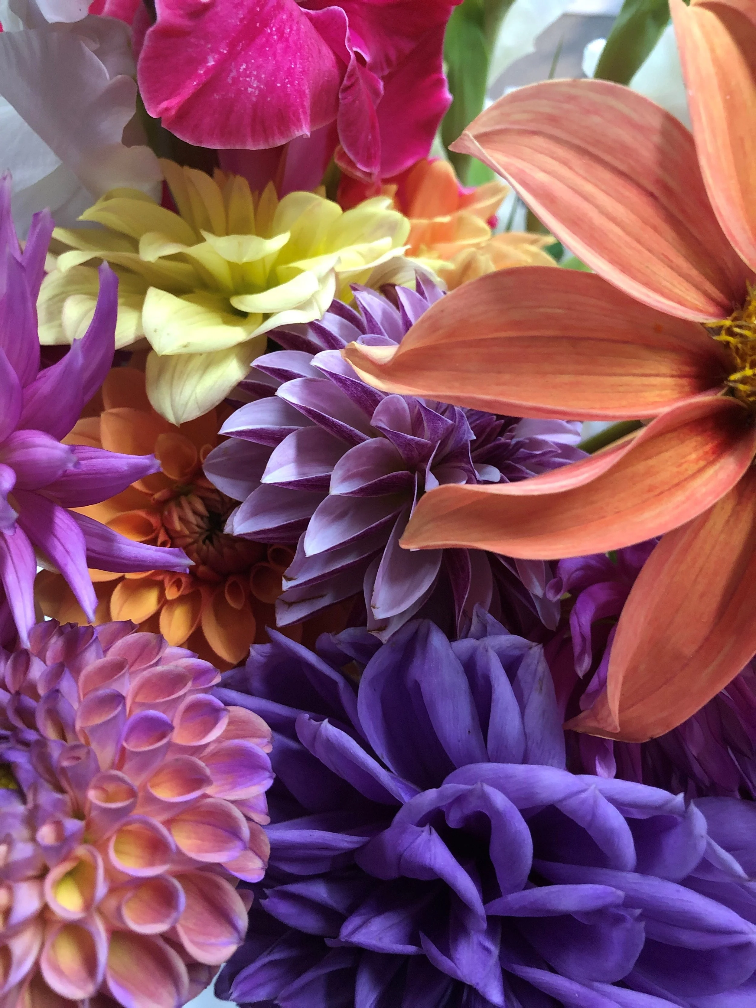 Close-up of colorful, variously shaped and sized flowers, including pink, yellow, purple, and orange blooms.
