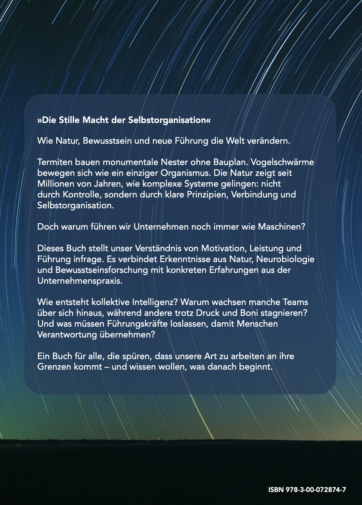 Termitenbuch backside.png