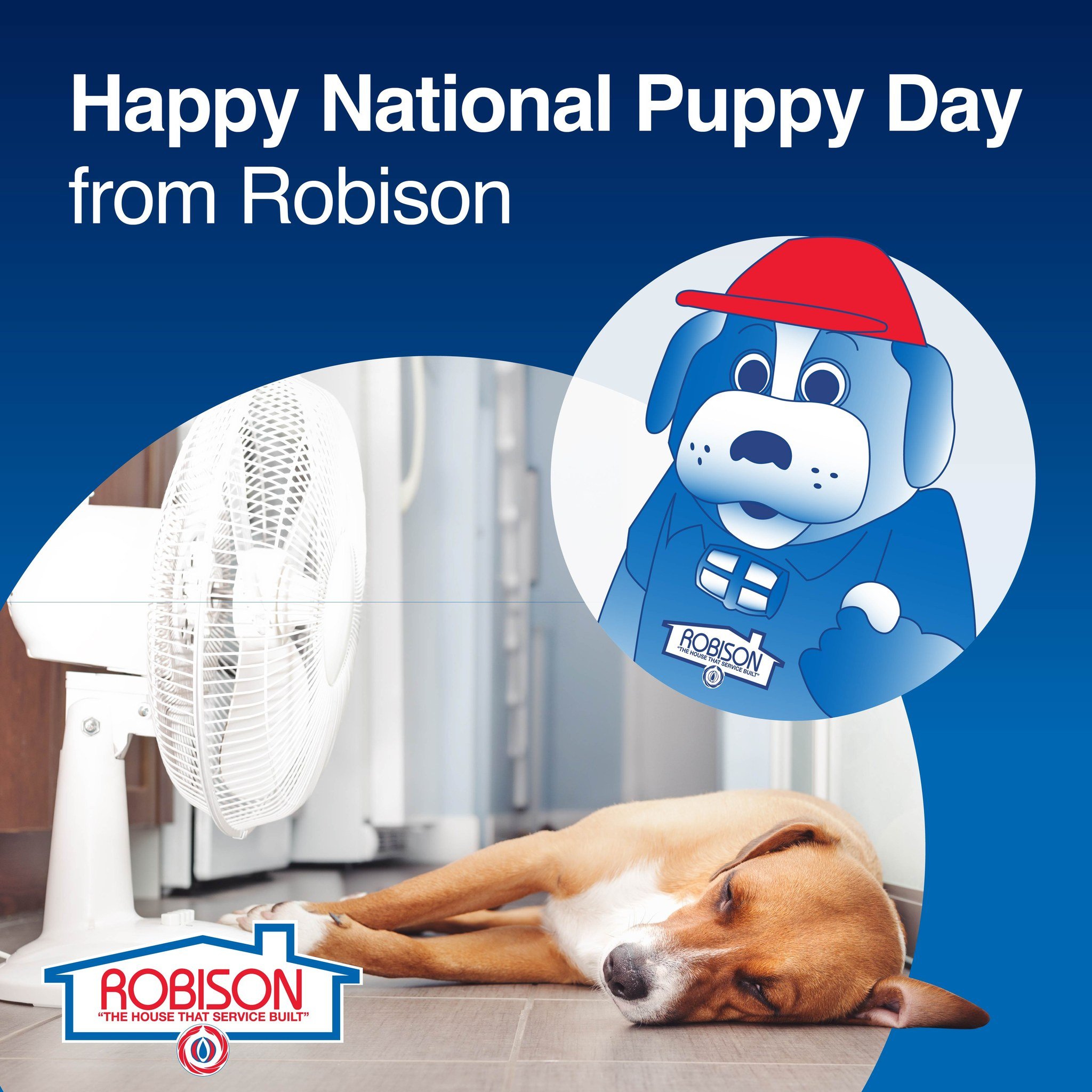 It&rsquo;s National Puppy Day, and RobiDog wants to remind you that comfort matters for every member of the family &mdash; including the four-legged ones. 🐾

Clean air filters, proper airflow, and a well-maintained system help keep your home comfort