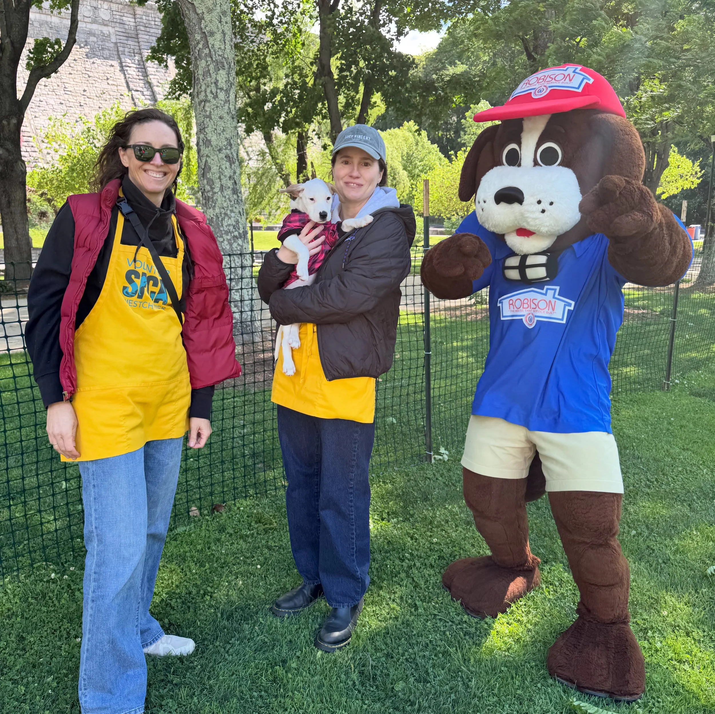 Some fun and relaxation with the dogs for #PuppyYoga thx to @spcawestchester &amp; @westchestercountyparks. #RobiDog made some friends and got a much needed morning stretch 🧘 

Always fun to be out with friends in #westchester community and supporti