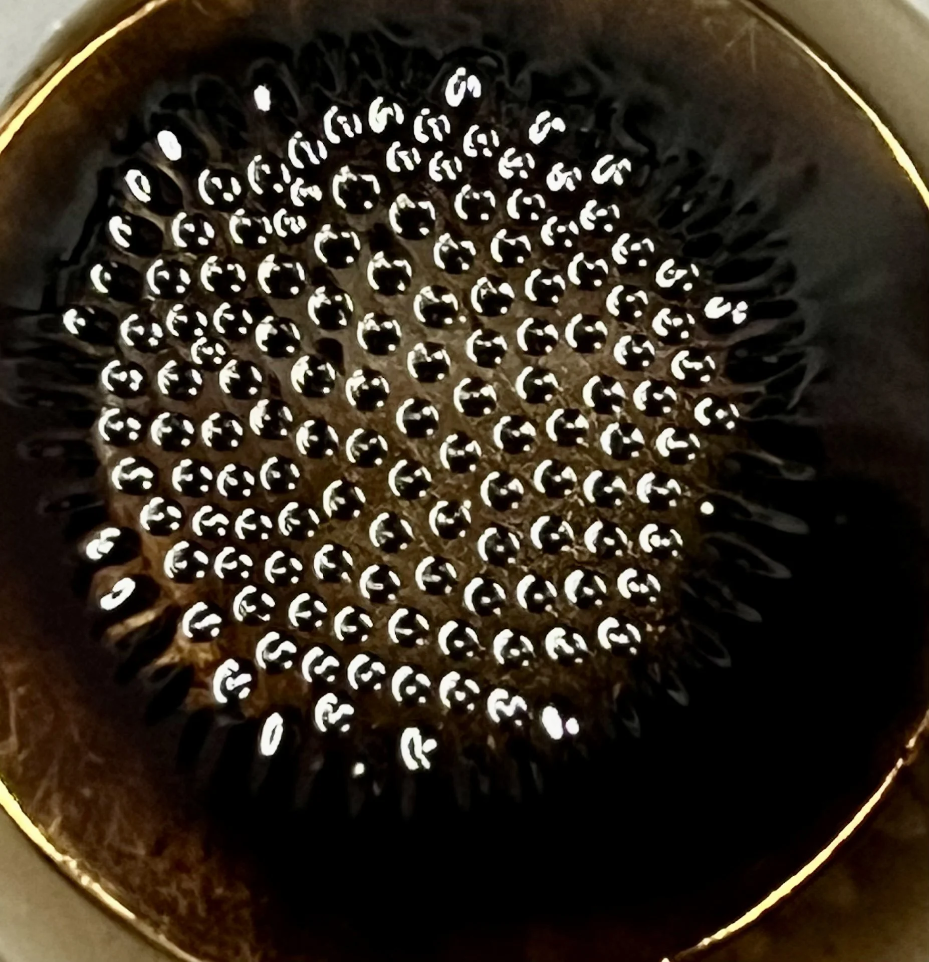 Ferrofluid D