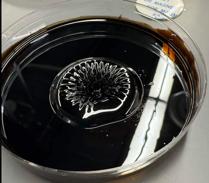 Ferro fluid C