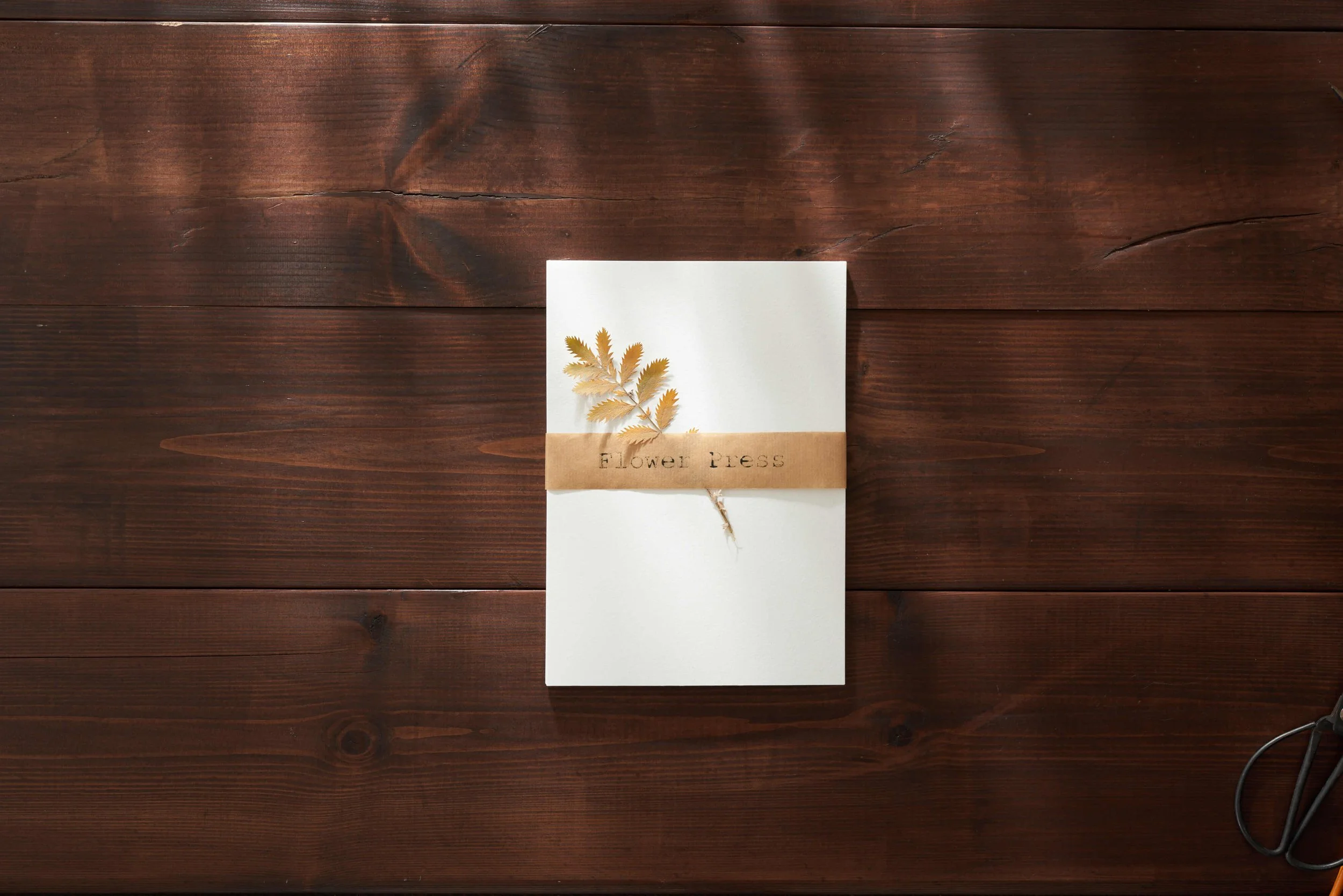 Blotting Paper — The Flower Press