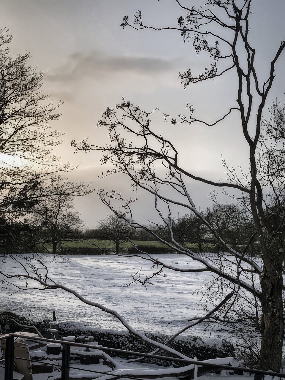 Snow Field.jpeg
