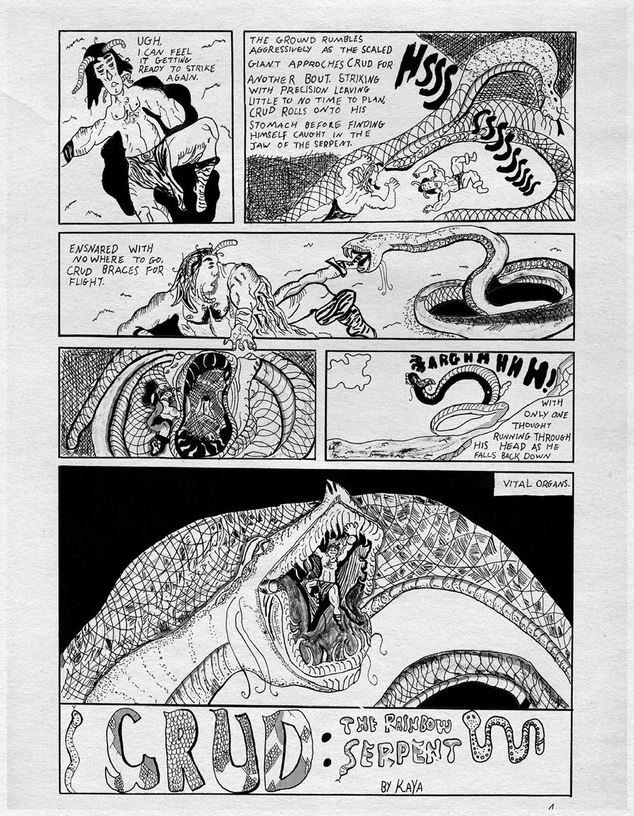 14 Kaya's CRUD page 1.jpg
