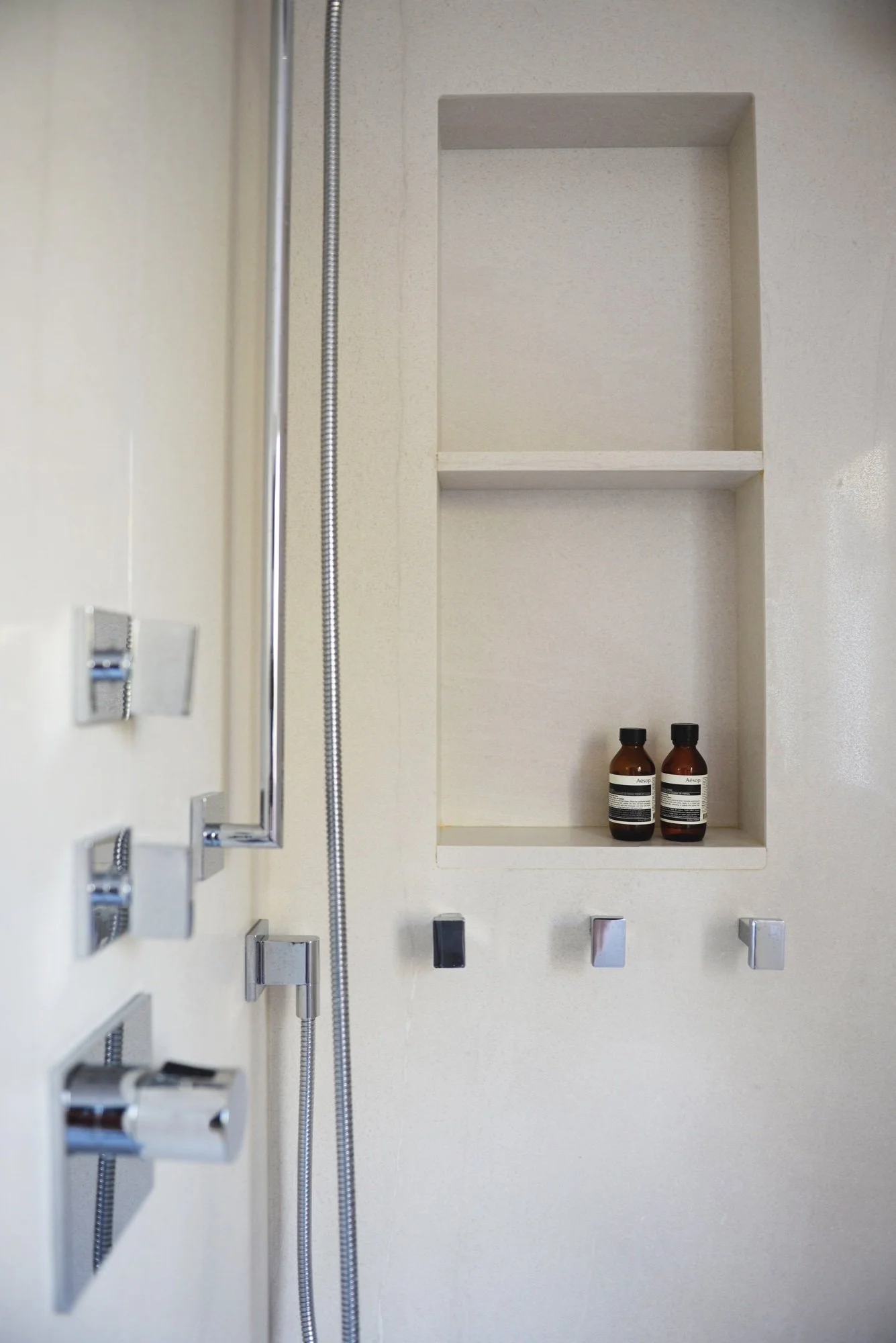 Shower niche and controls