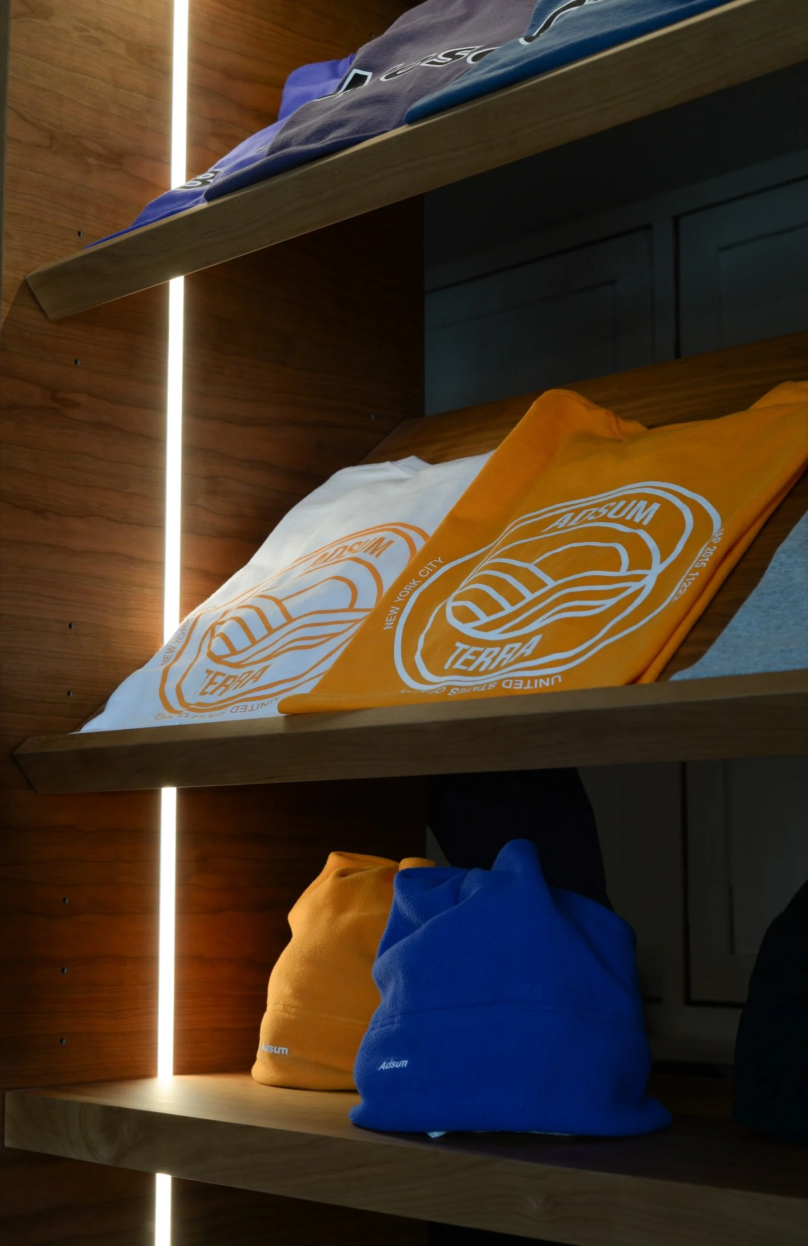 Lit shelving detail
