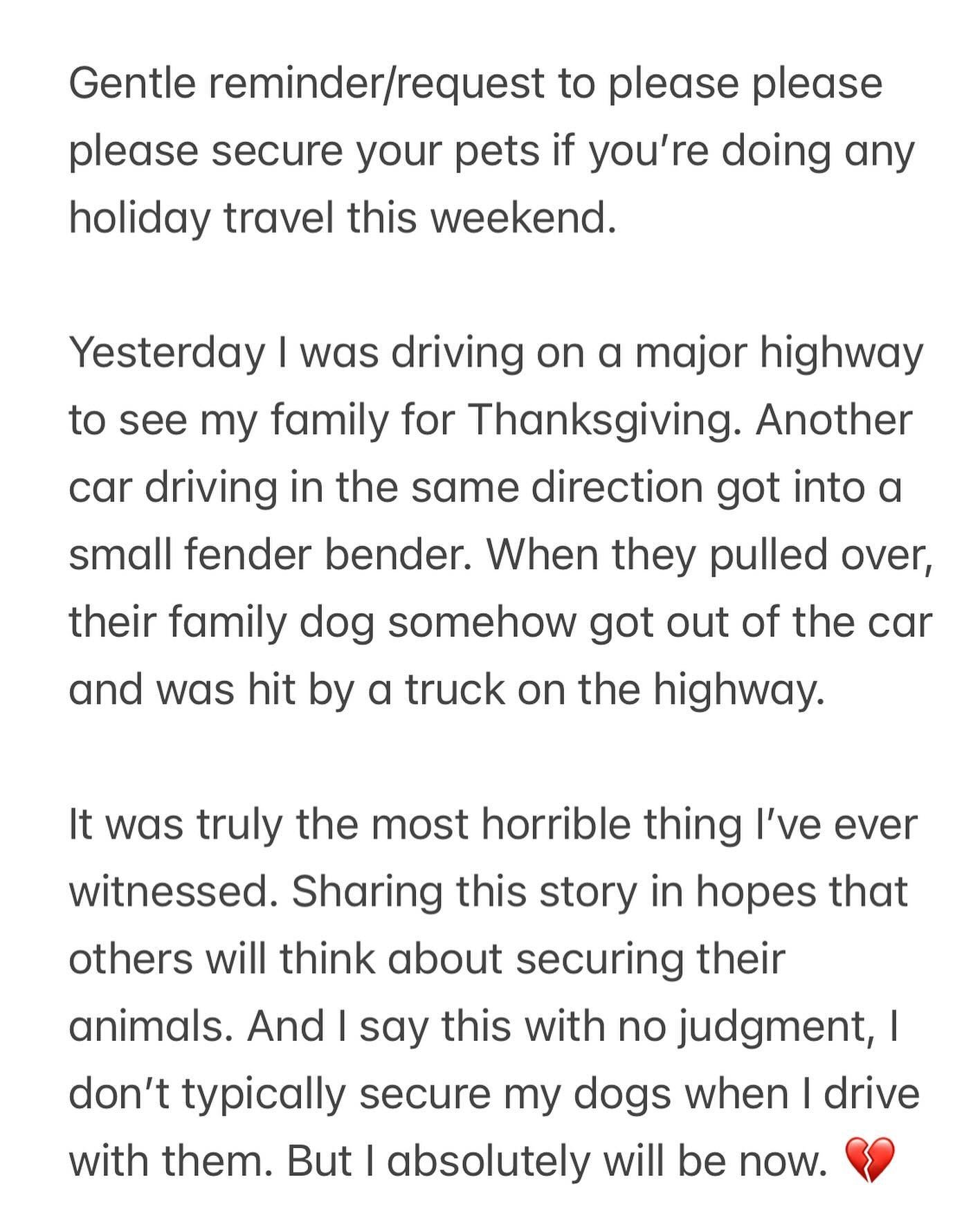 Please please please secure your pets if you drive with them this holiday weekend 💔
