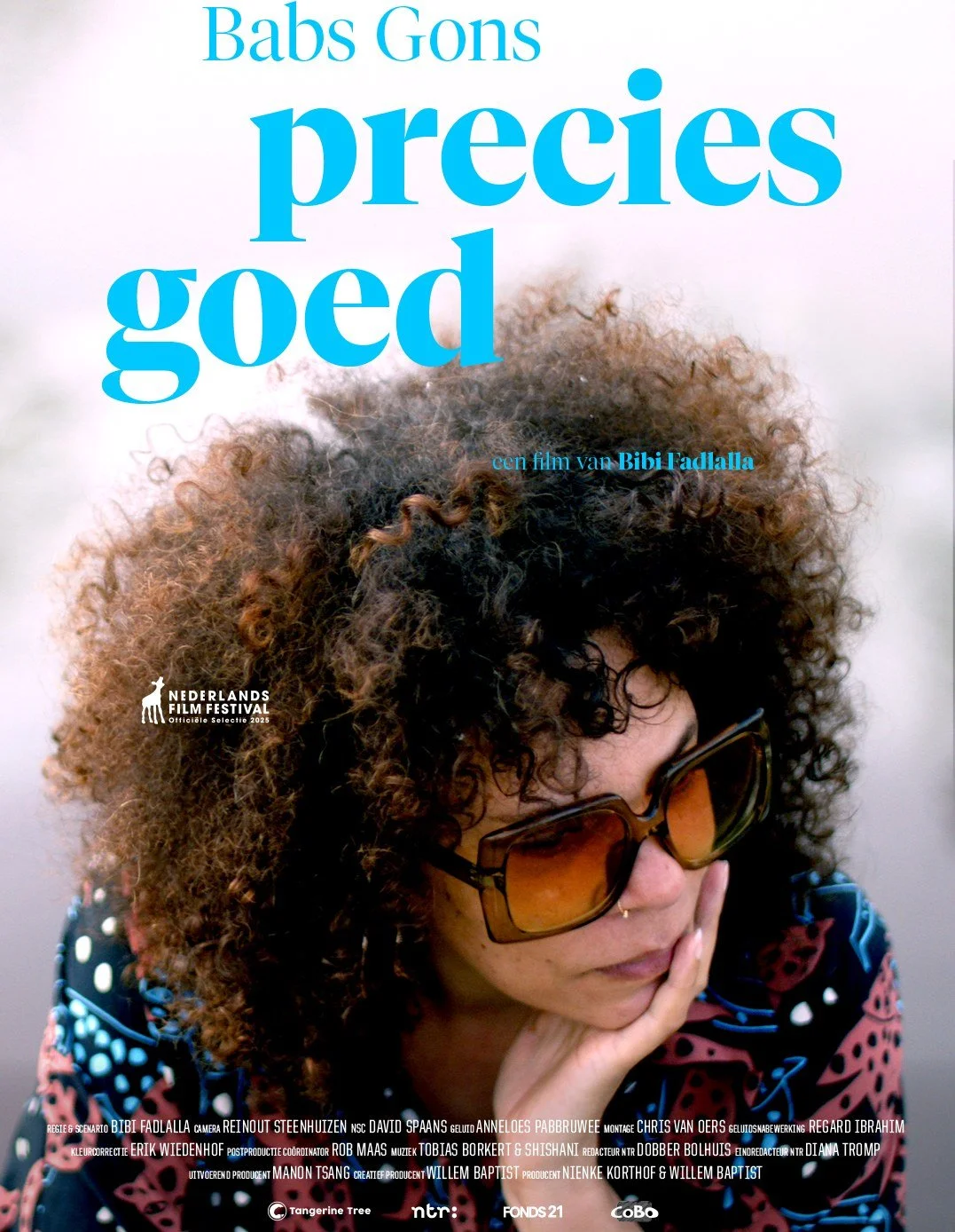 Babs Gons — Precies goed