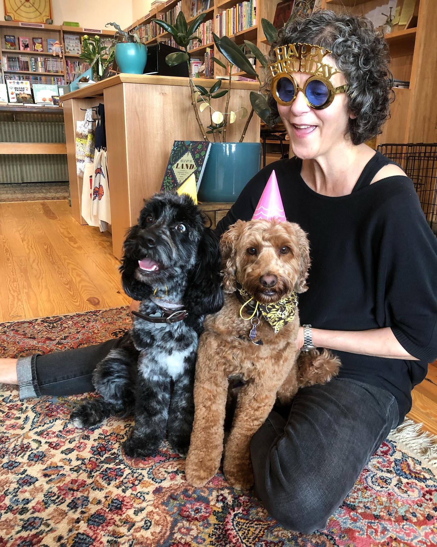 Happy Birthday to Opal and Birdie, shop dog extraordinaries! 💕🥳

****

#glendorabookshopmi #independentbookshop #indiebookshop #shopdogs #opalandbirdie #dogparty #cockapoo