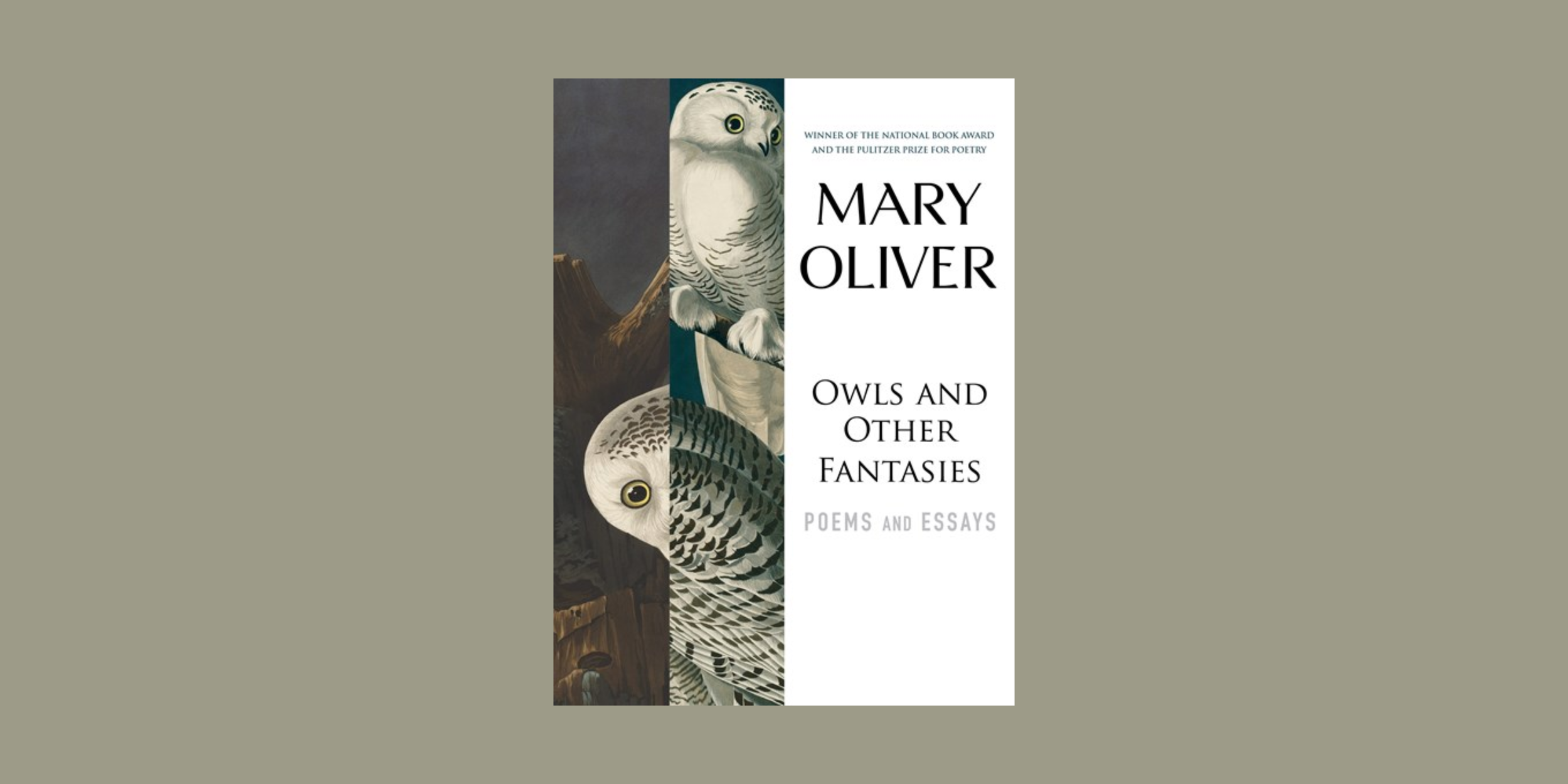 Outside/Underground Nature & More Book Club