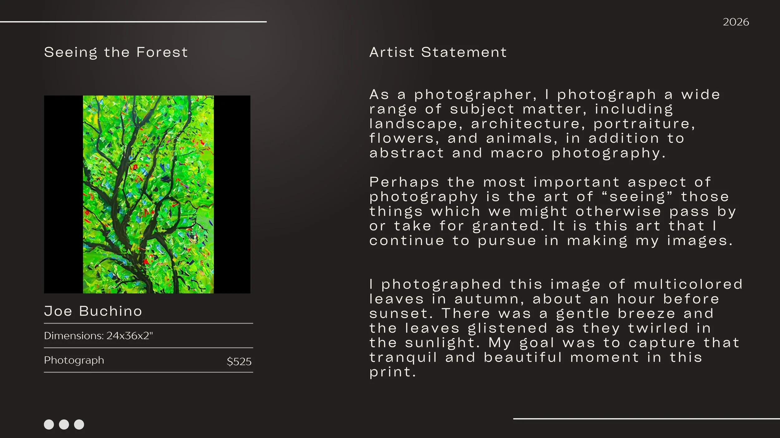 Joe Buchino 2026 LAG Annual Show (2).jpg