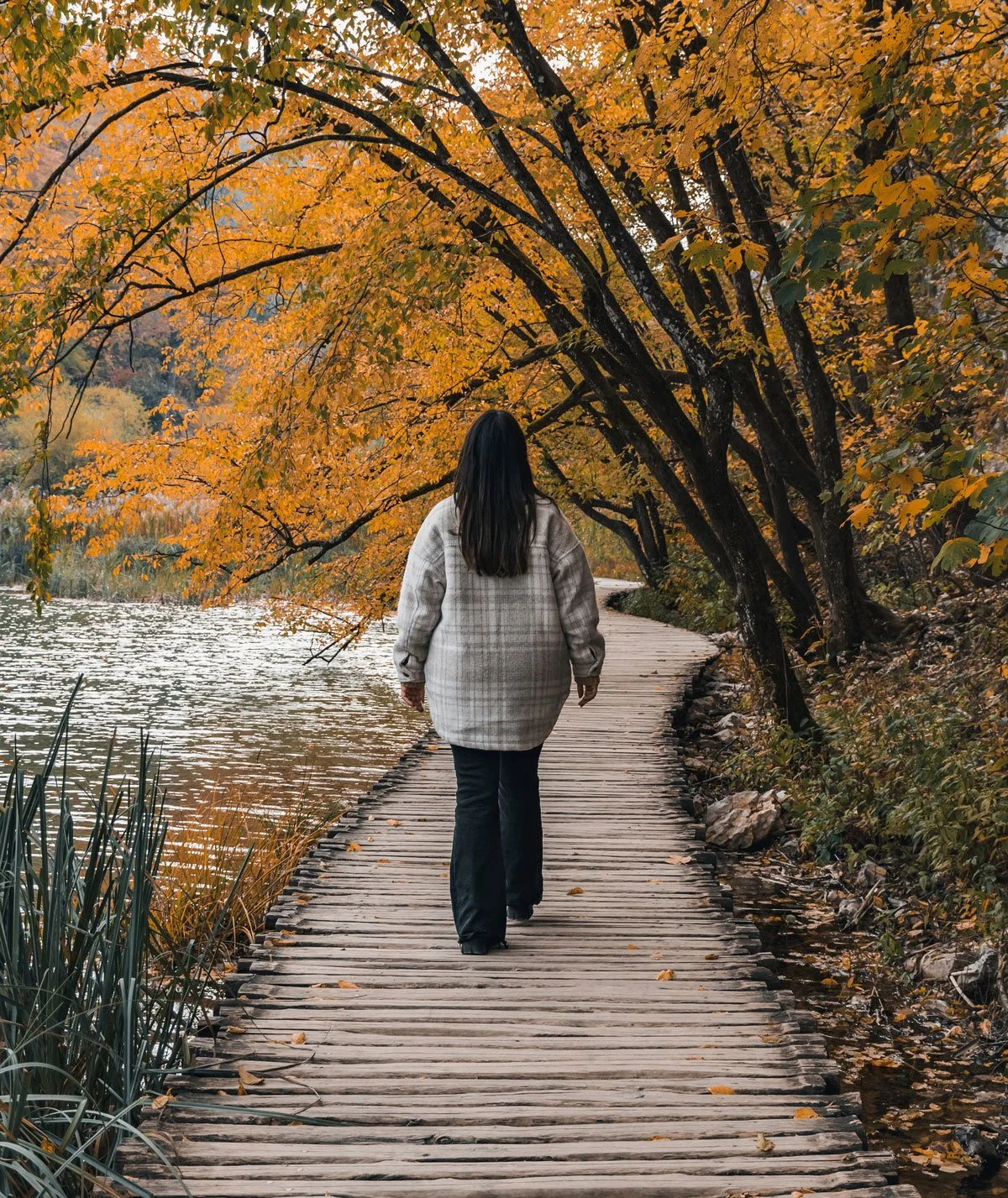 Begin Online therapy in Virginia and gain A Steady Path Toward Emotional Freedom