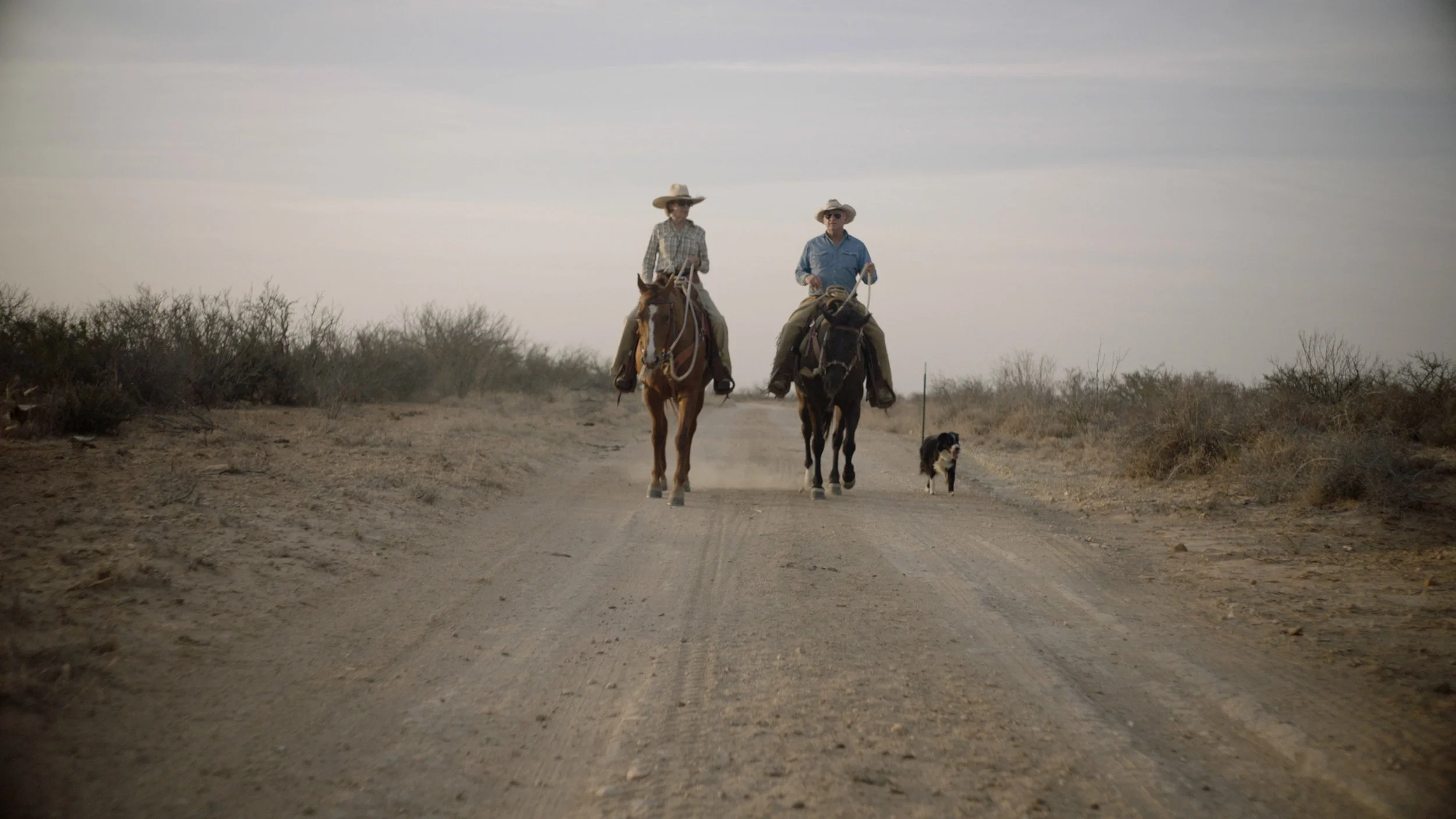 Texas Agricultural Land Trust Tops 314,000 Acres of Working Lands Conserved