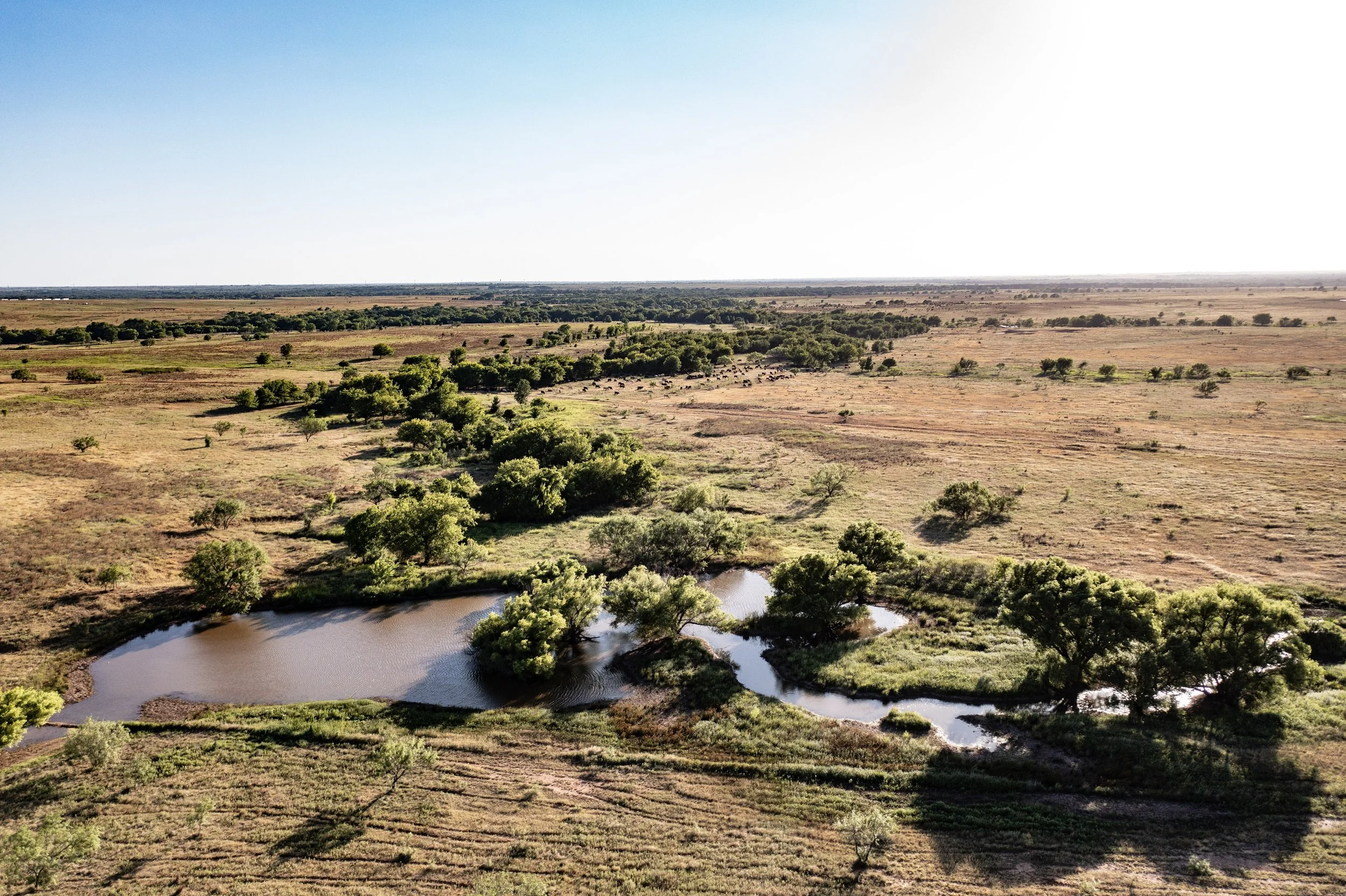 Our Story — Texas Agricultural Land Trust