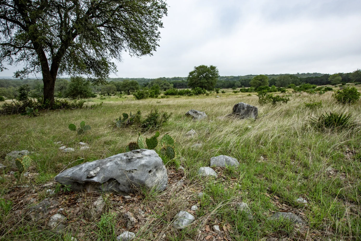 JO Ranch — Texas Agricultural Land Trust