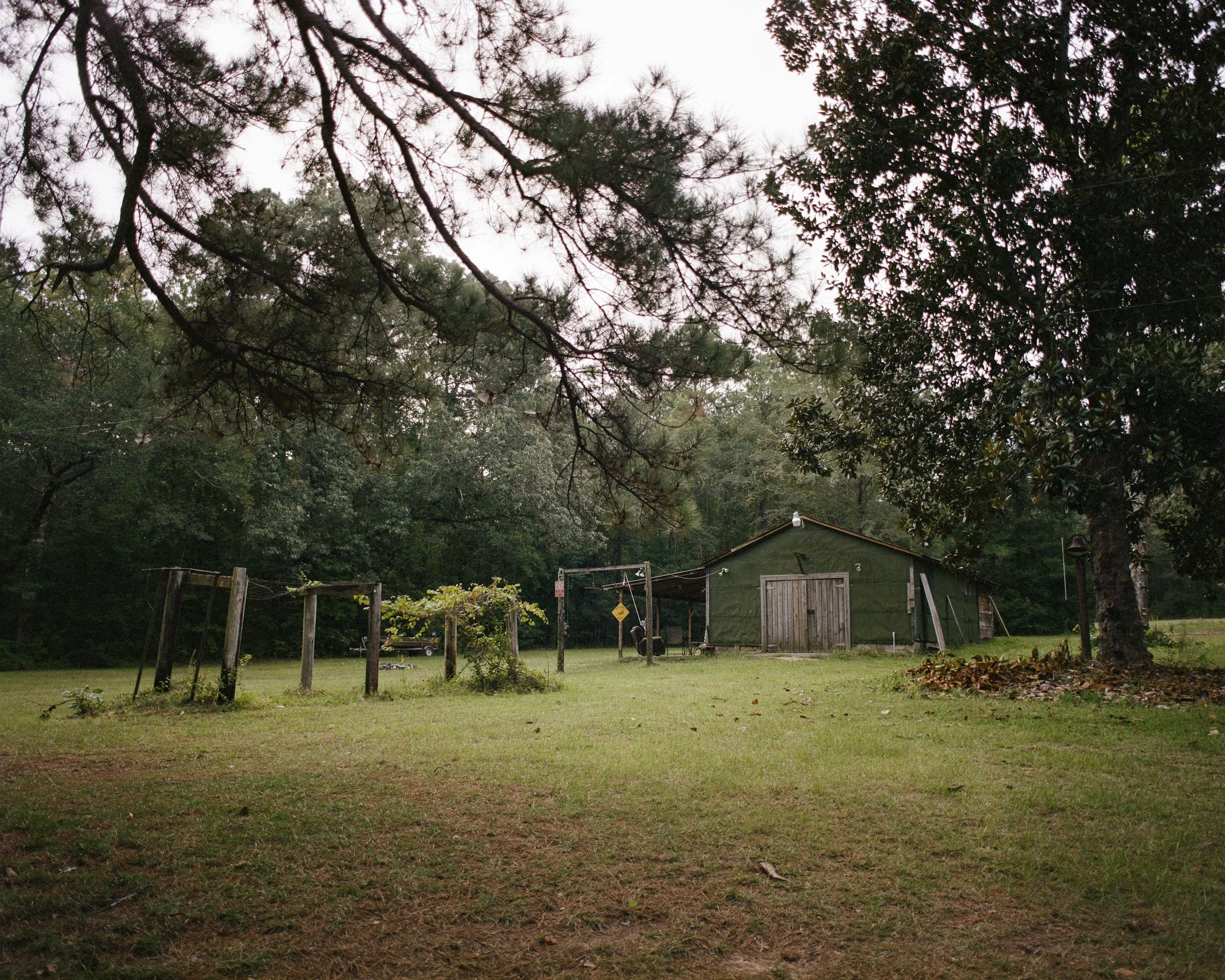 A backyard scene with a large grassy area, trees surrounding the yard, and a small shed or playhouse in the background. Overcast sky with no visible sun.