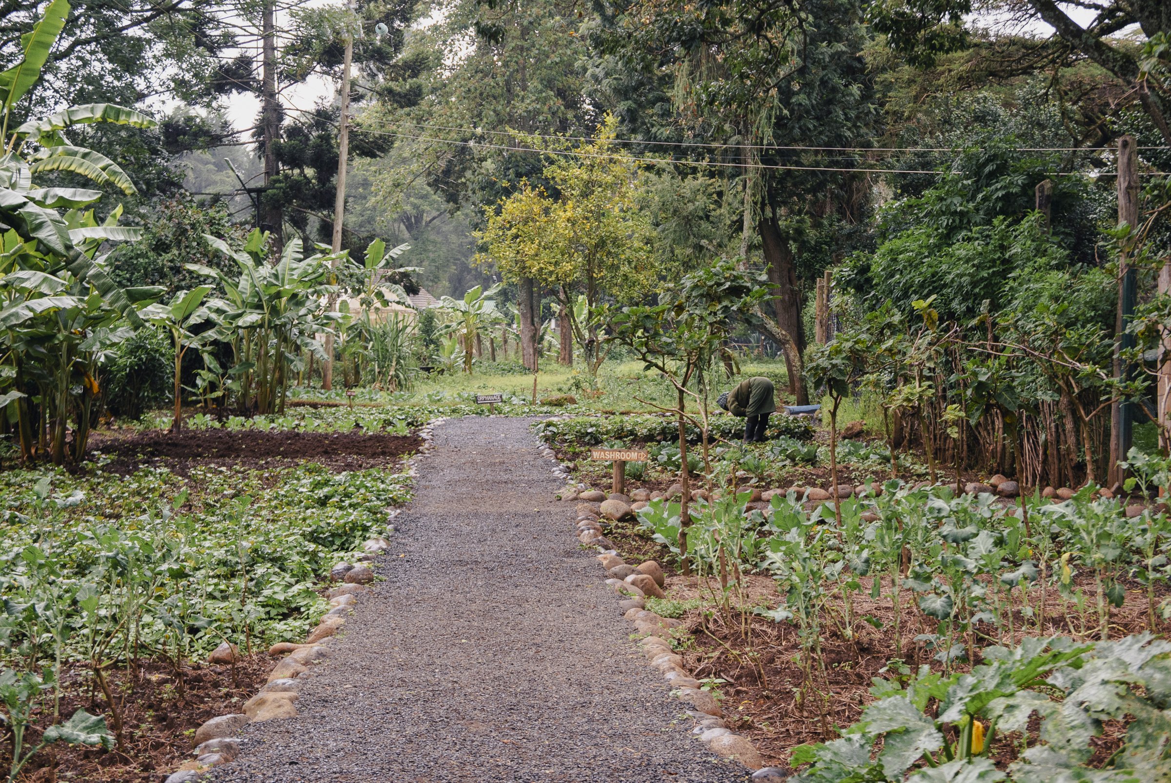 A person tending to plants in a vegetable garden surrounded by lush green trees, with signs indicating the garden's sections.
