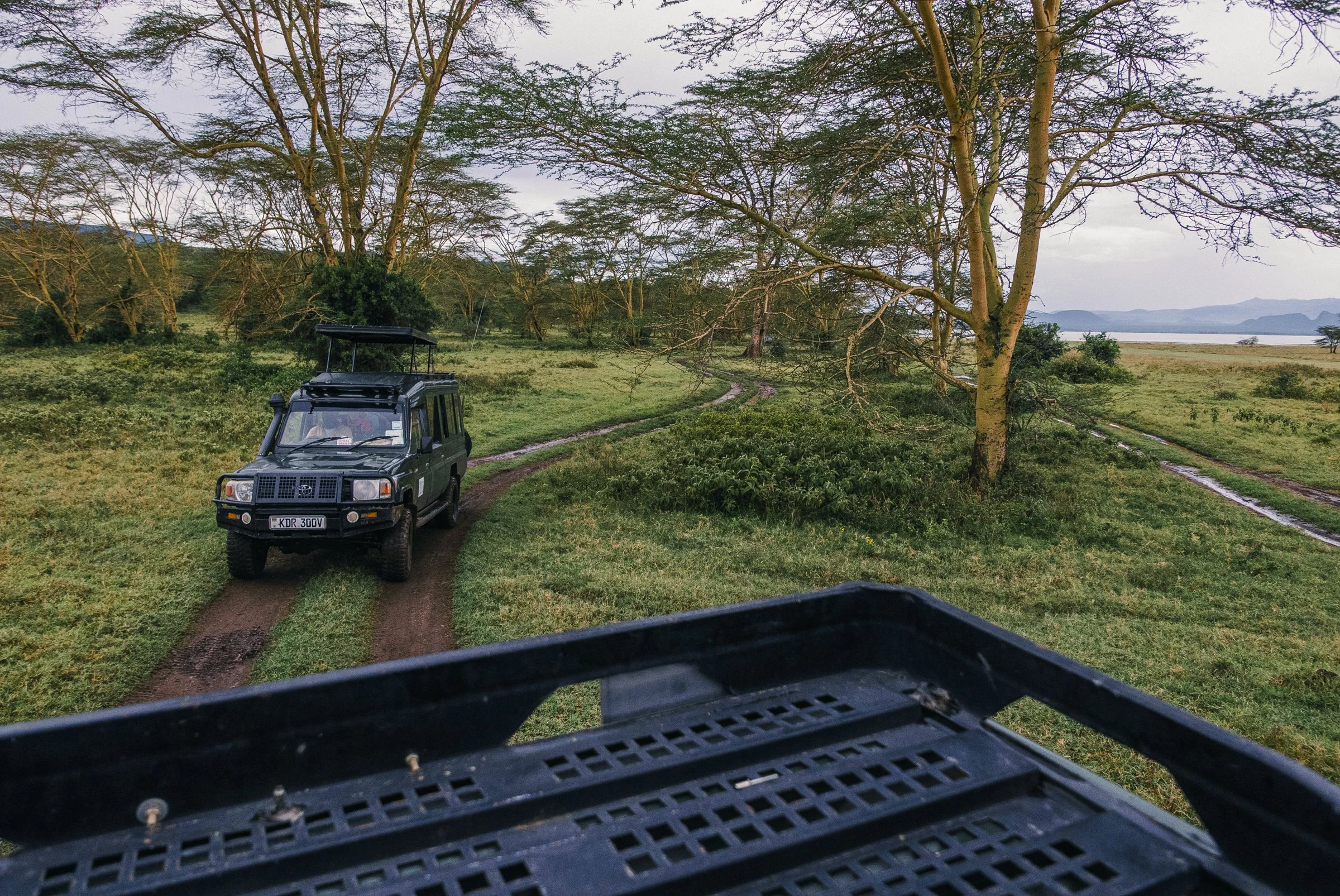 A safari vehicle driving down a dirt road through a grassy landscape with scattered trees, near a body of water and distant hills, in a natural park setting.