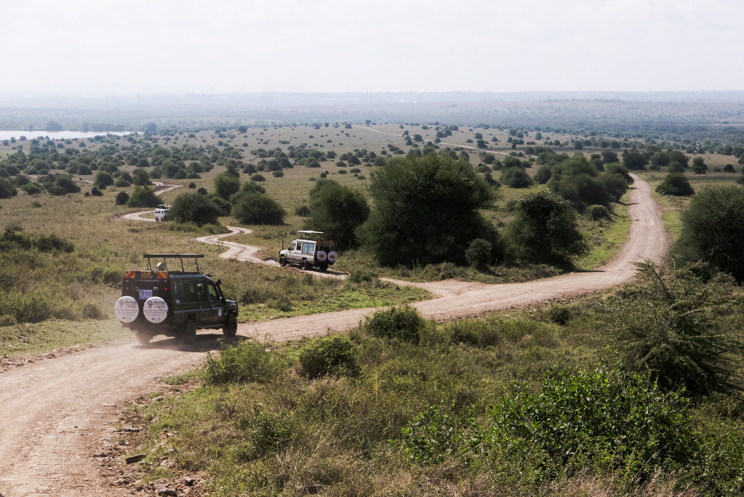 A dusty dirt road winding through a green landscape with sparse trees, with several vehicles including a safari vehicle and a small van traveling along the road under a cloudy sky.