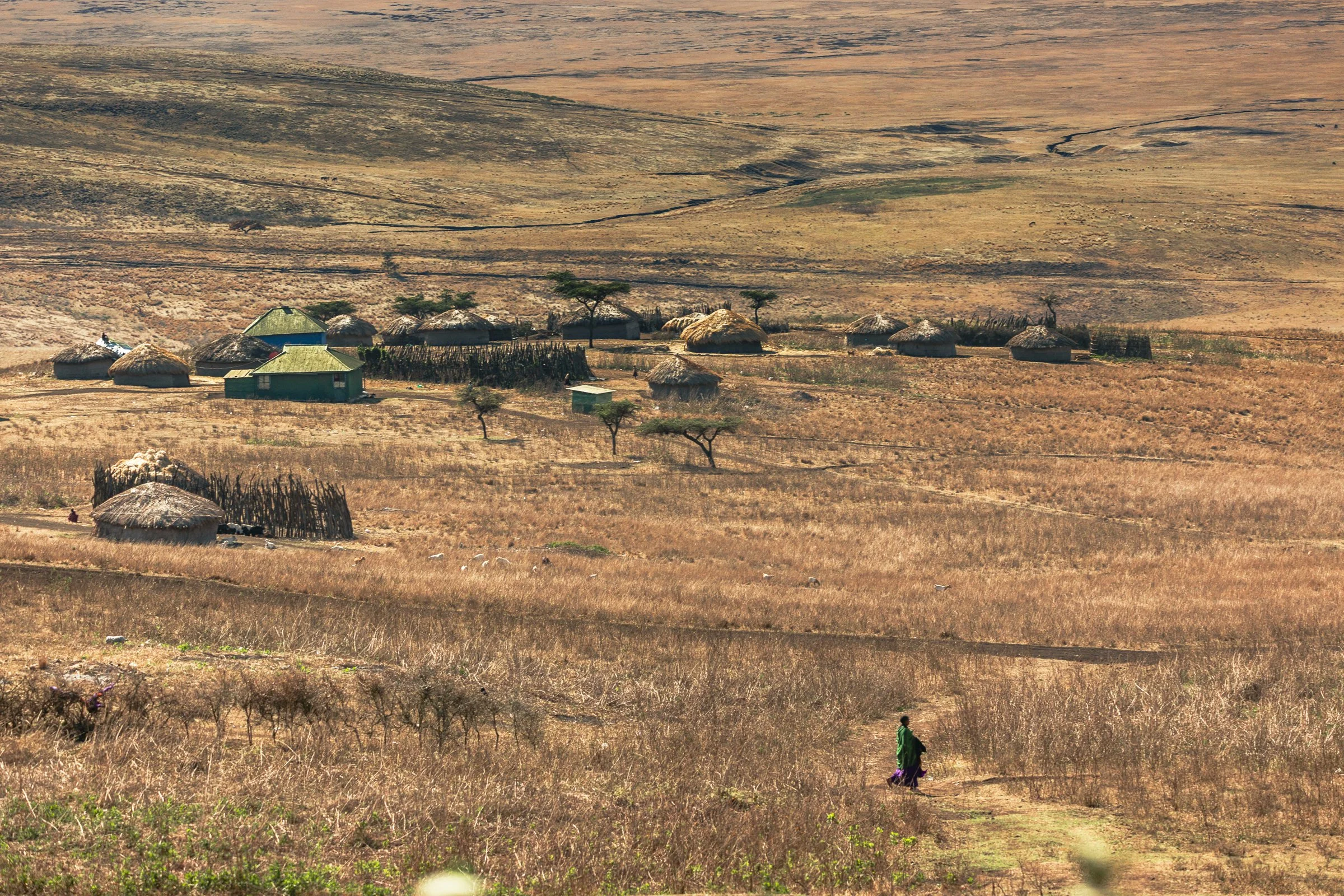 A rural landscape with a small village of huts and houses, dry grass, scattered trees, and a person walking on a path in the foreground.