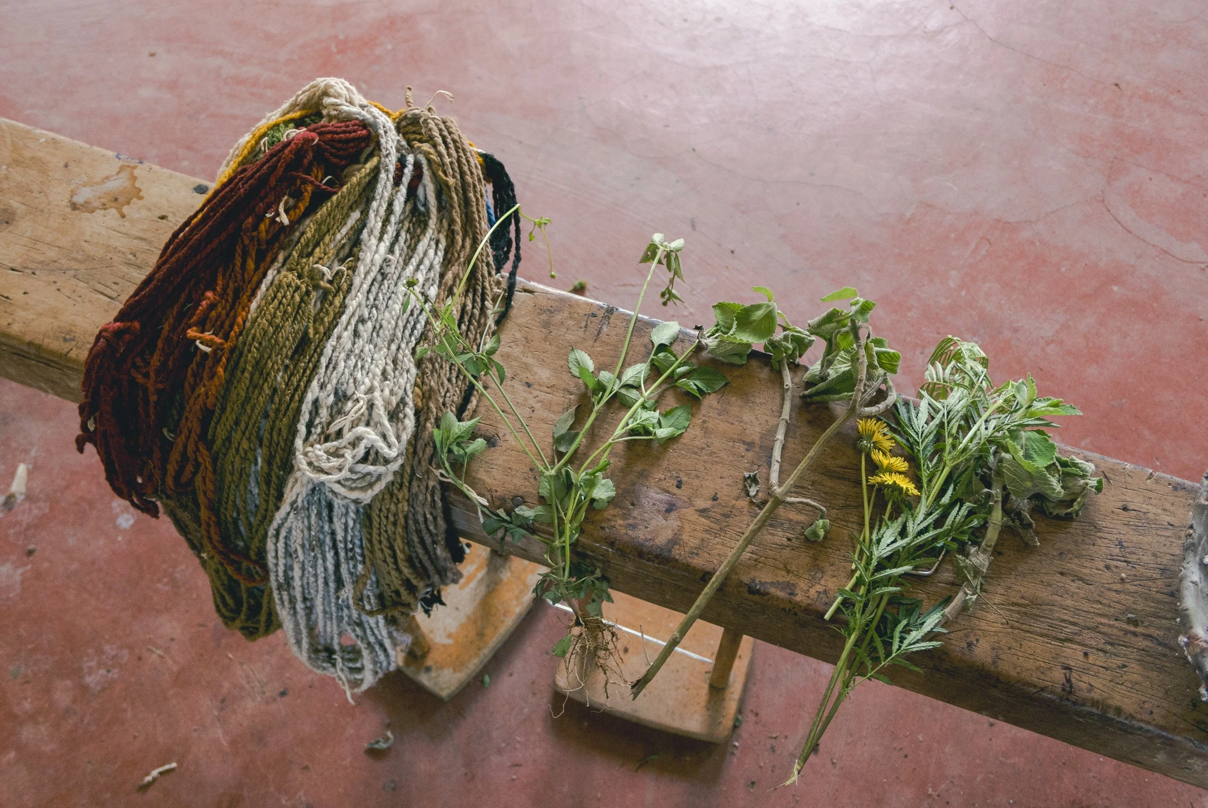 Various colored yarns draped over a wooden beam with green and yellow plants growing alongside, set on a concrete or stone floor.
