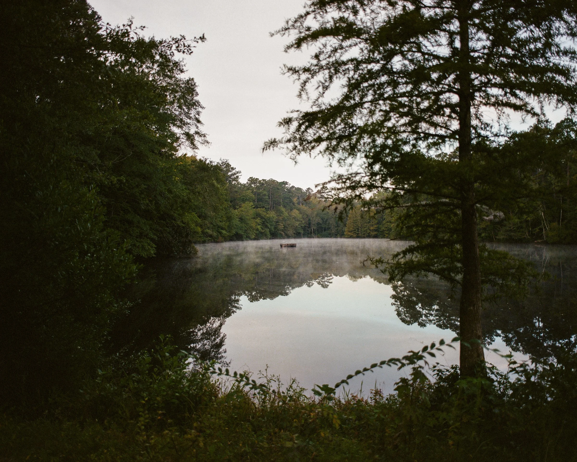 A serene river scene at dawn or dusk, surrounded by dense trees with overhanging branches, gently mist rising from the water, and a distant, small wooden raft on the river.