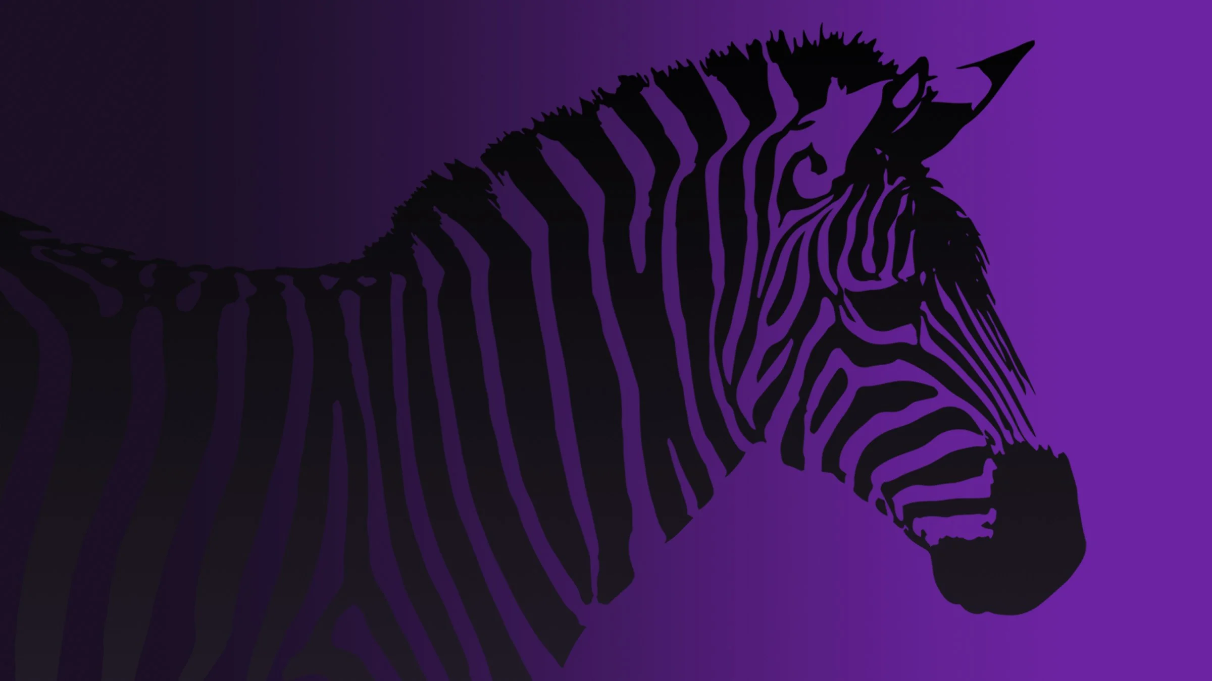 Case Studies — Adnexi