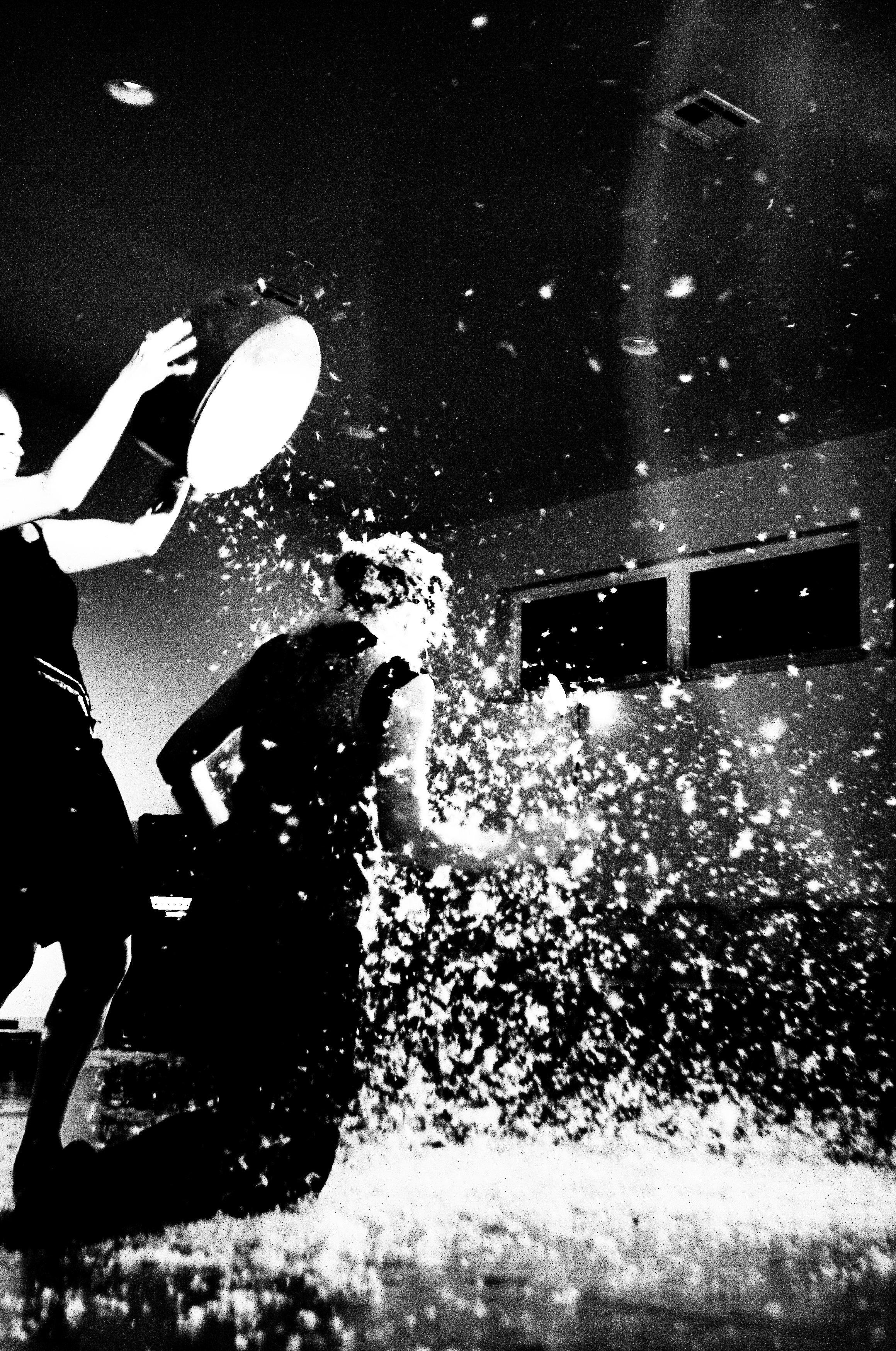 No More Feathers.png