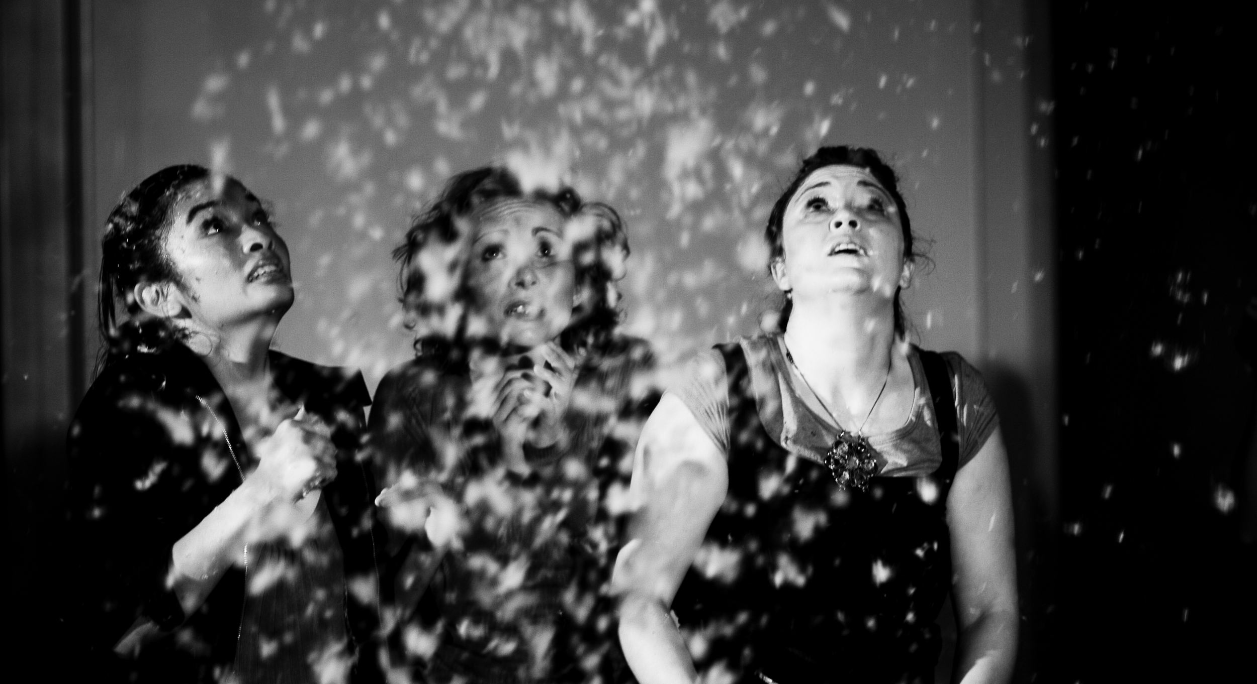 We Are Normal, Cha Cha Chaaa