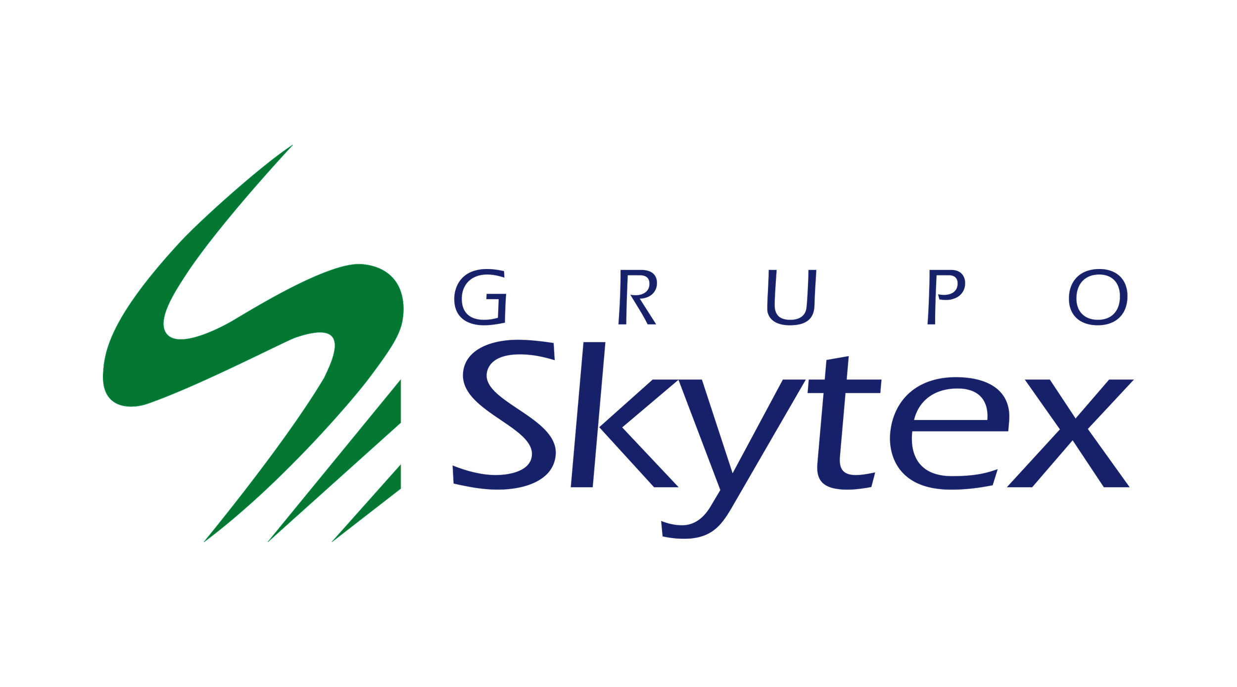 logo_skytex.png