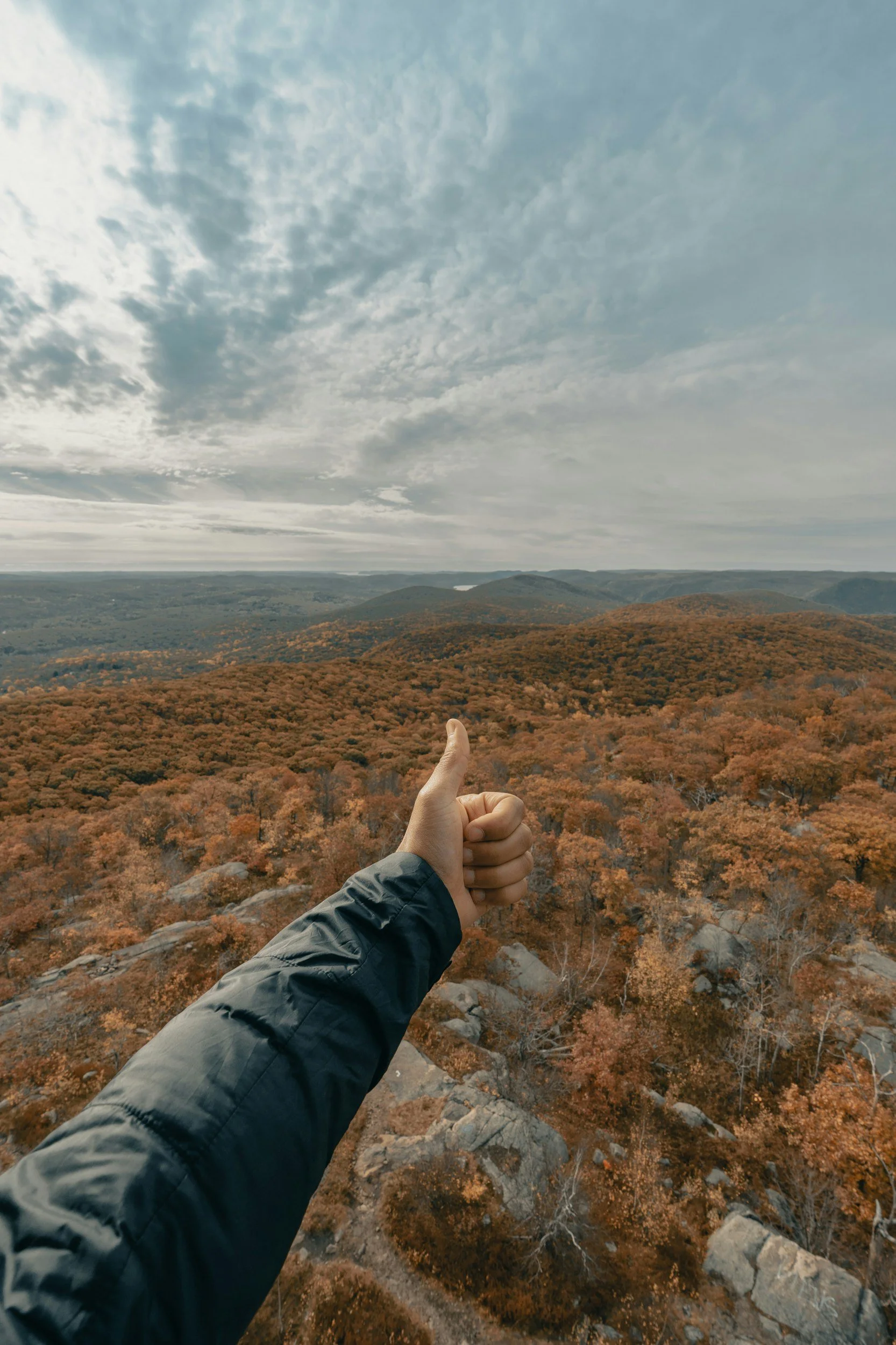 Person giving thumbs up over autumn forest landscape with cloudy sky.