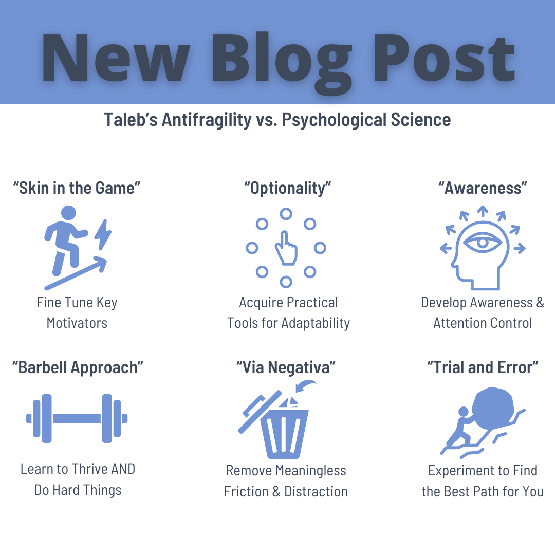 Taleb Square The Antifragile Academy