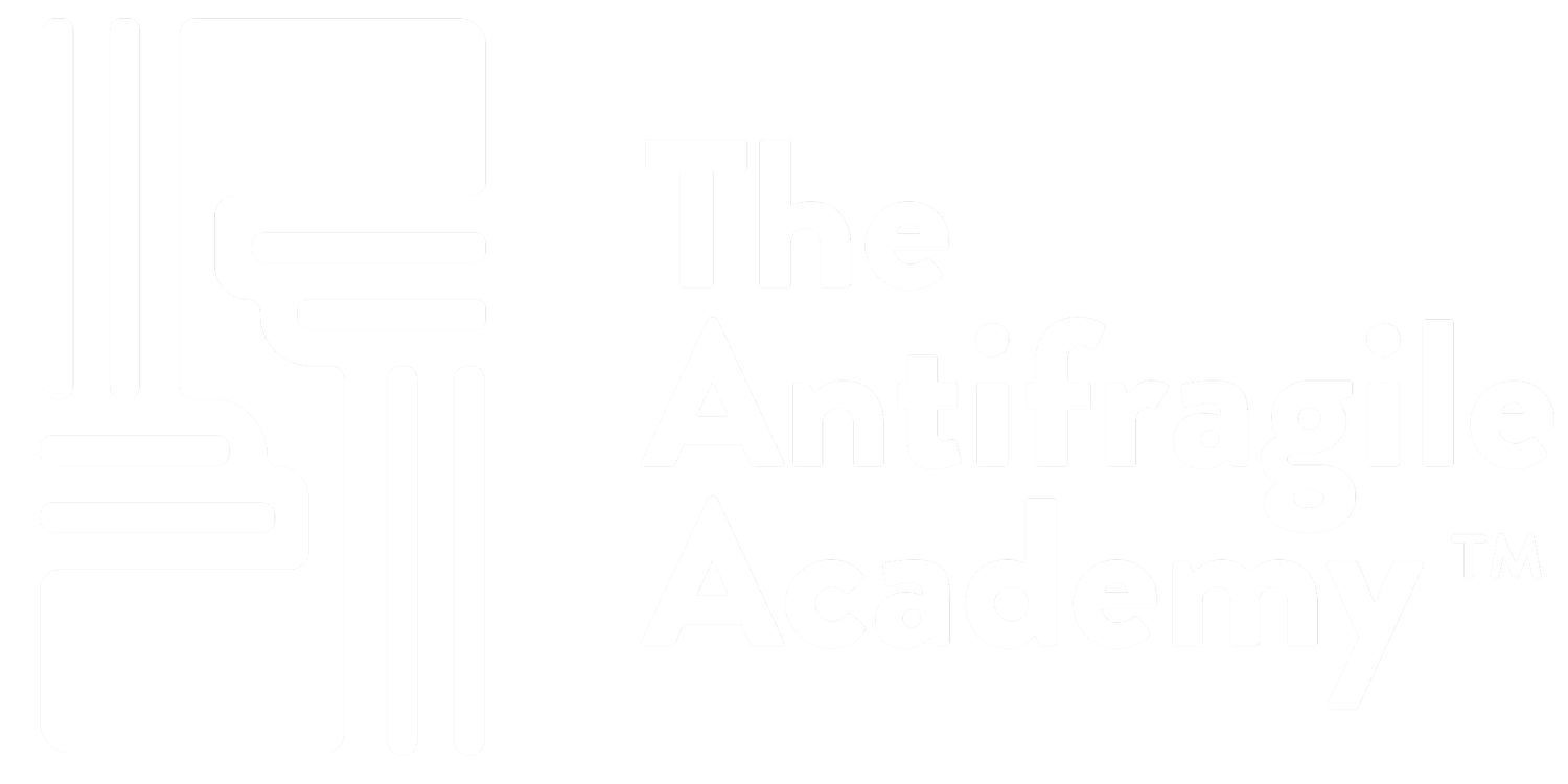 The Antifragile Academy (Copy)