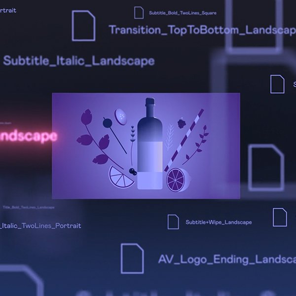 birds animate [Animation]